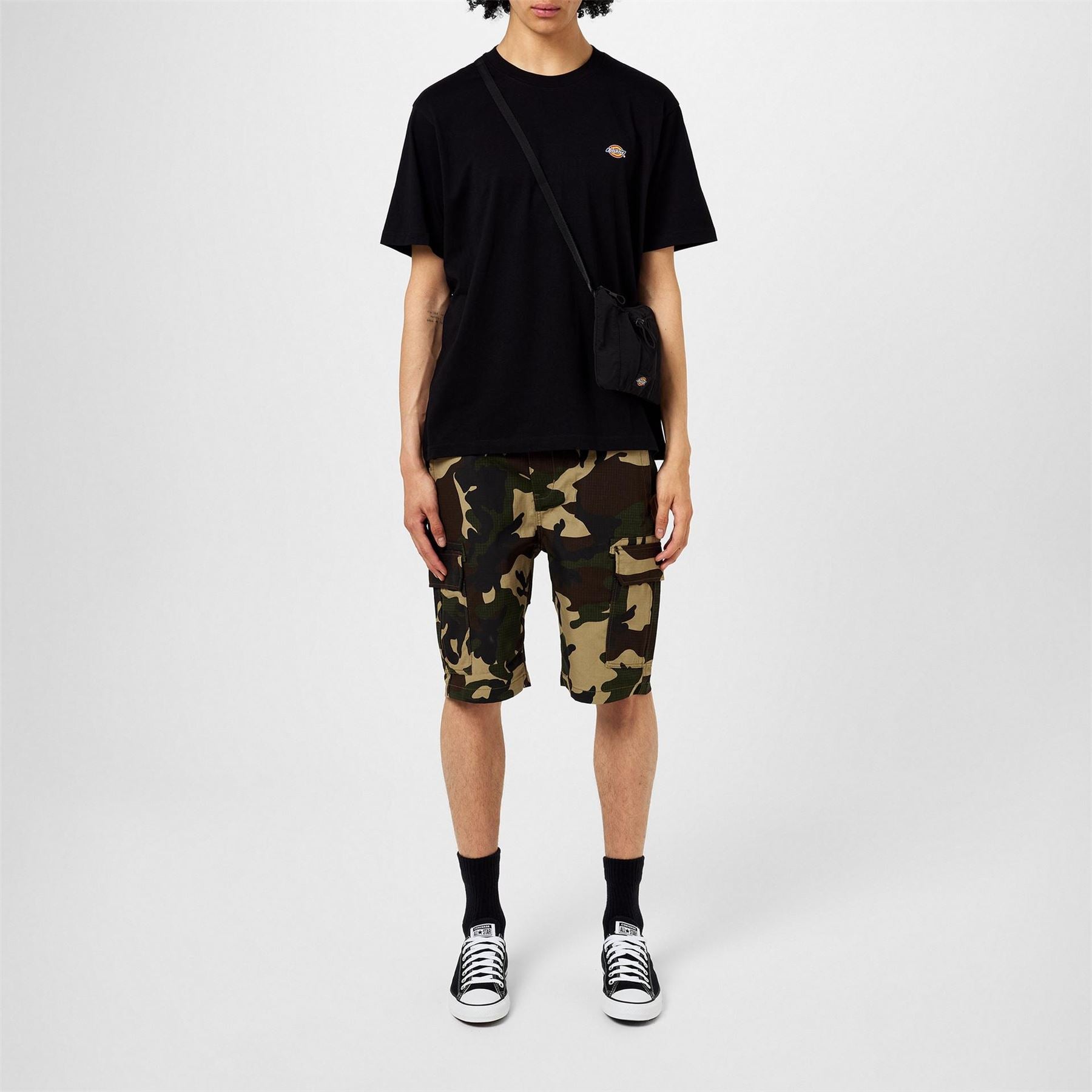 Dickies Regular Fit Mapleton T-Shirt
