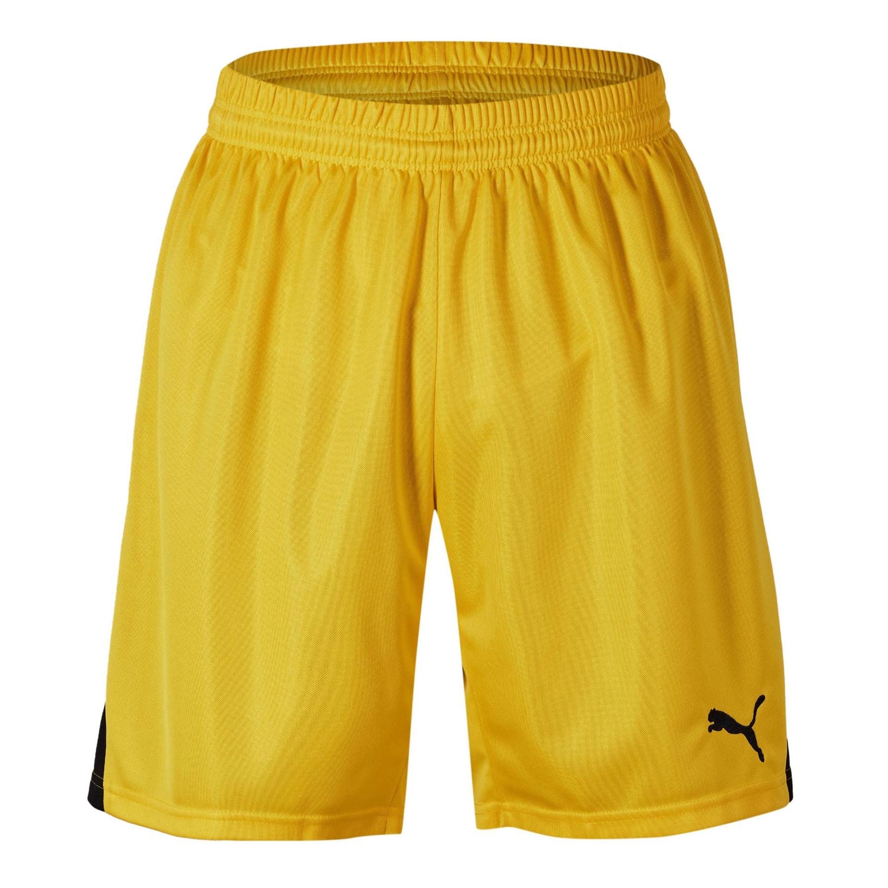 Puma Mens Swim Team Shorts With Innerbr