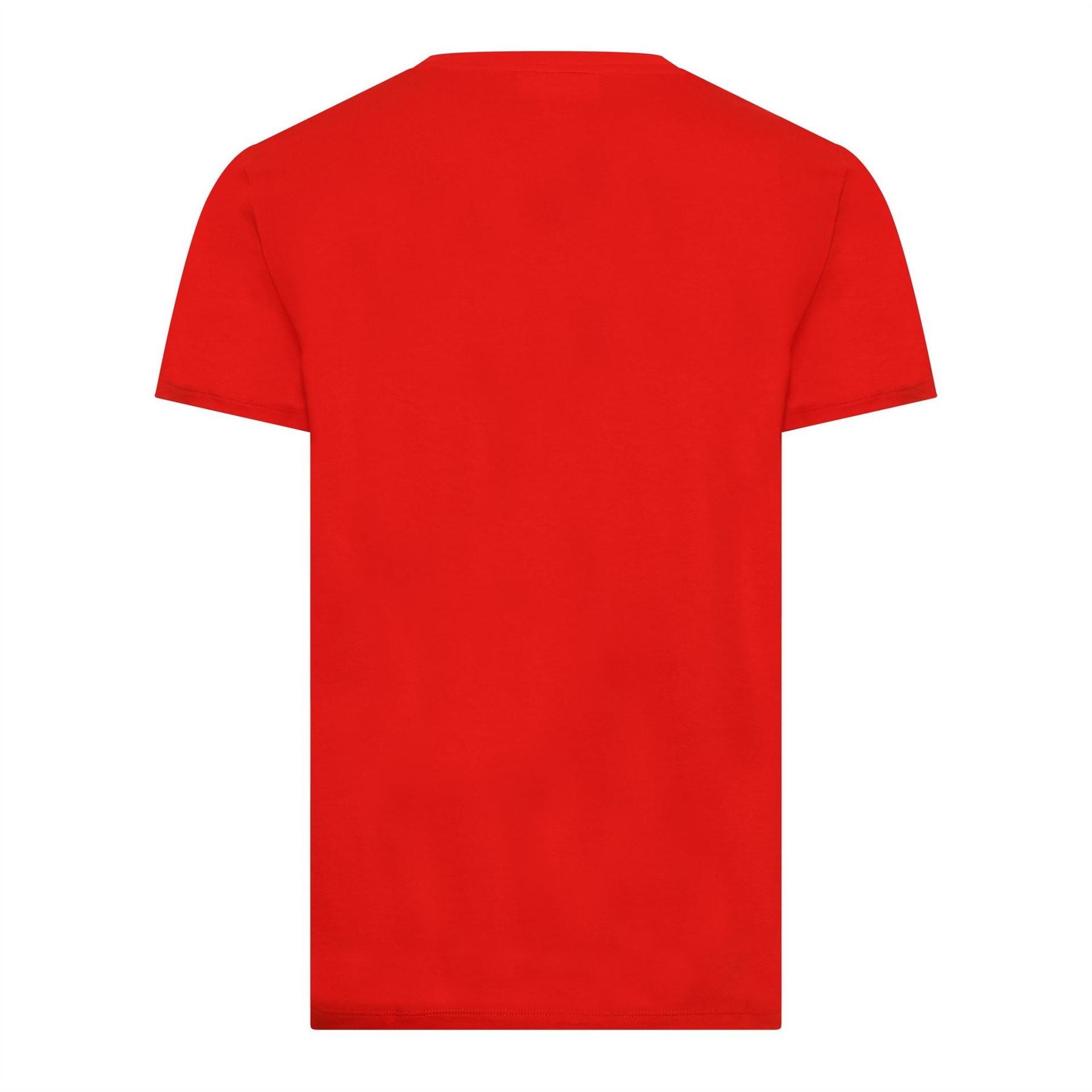 Lacoste Crocodile Print V-Neck Regular Fit T-Shirt