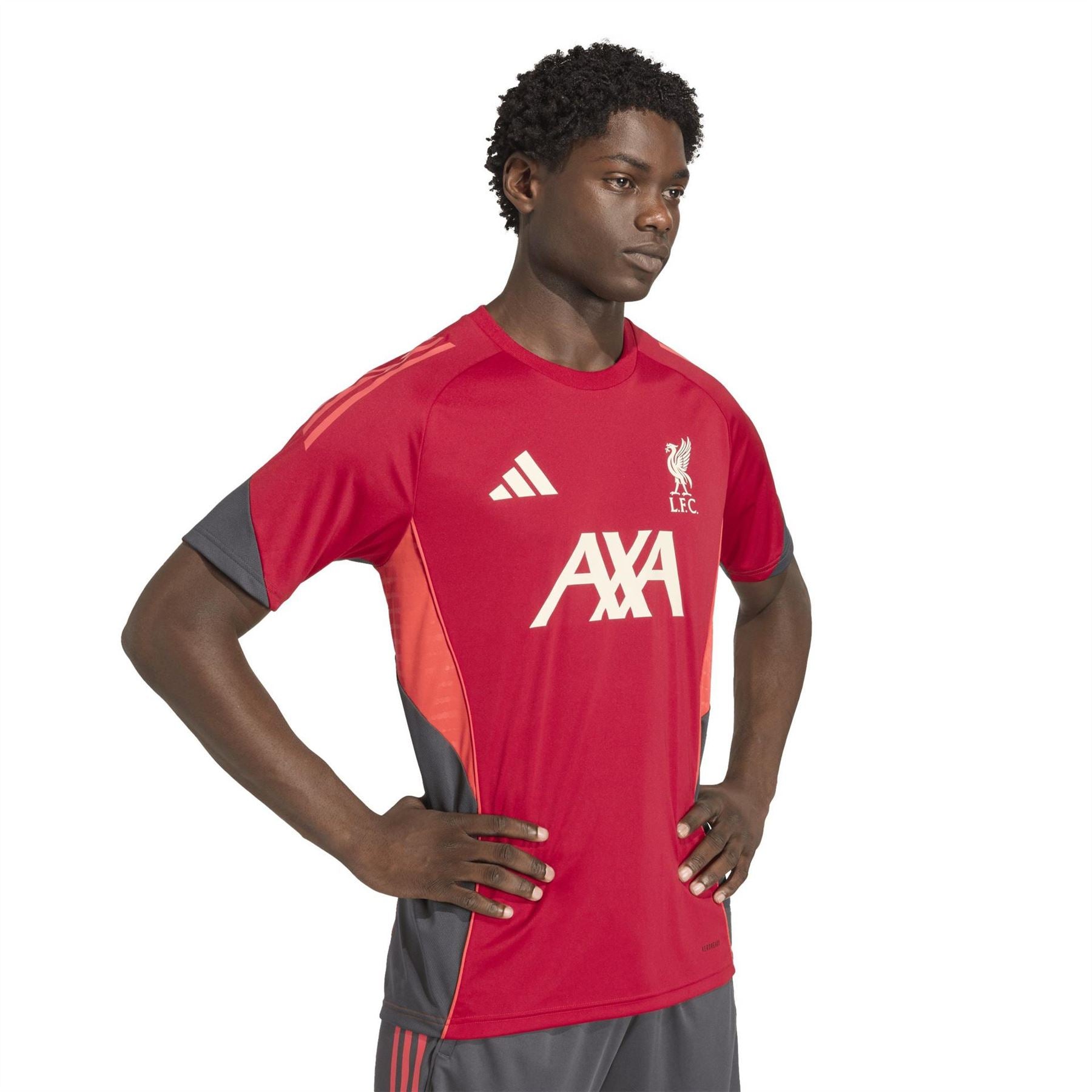 adidas Liverpool Training Jersey