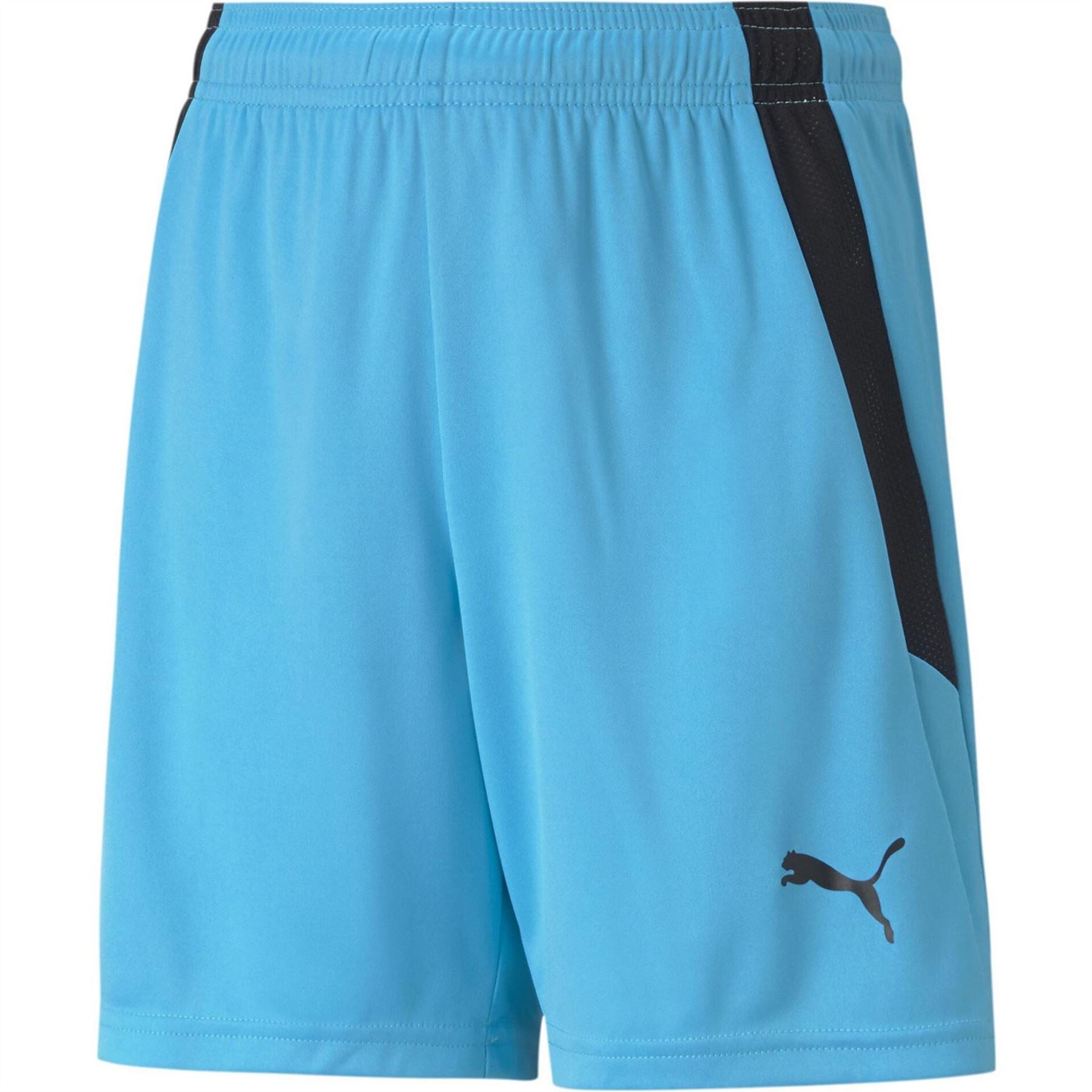 Puma Teamliga Shorts Jr Football Short Unisex Kids