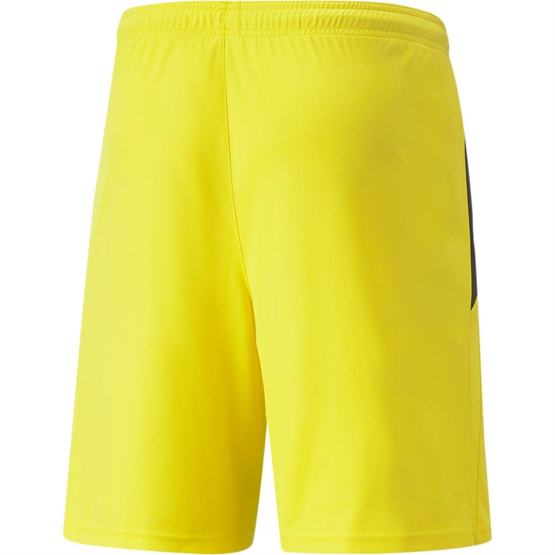 Puma Mens Teamliga Shorts Football Shorts
