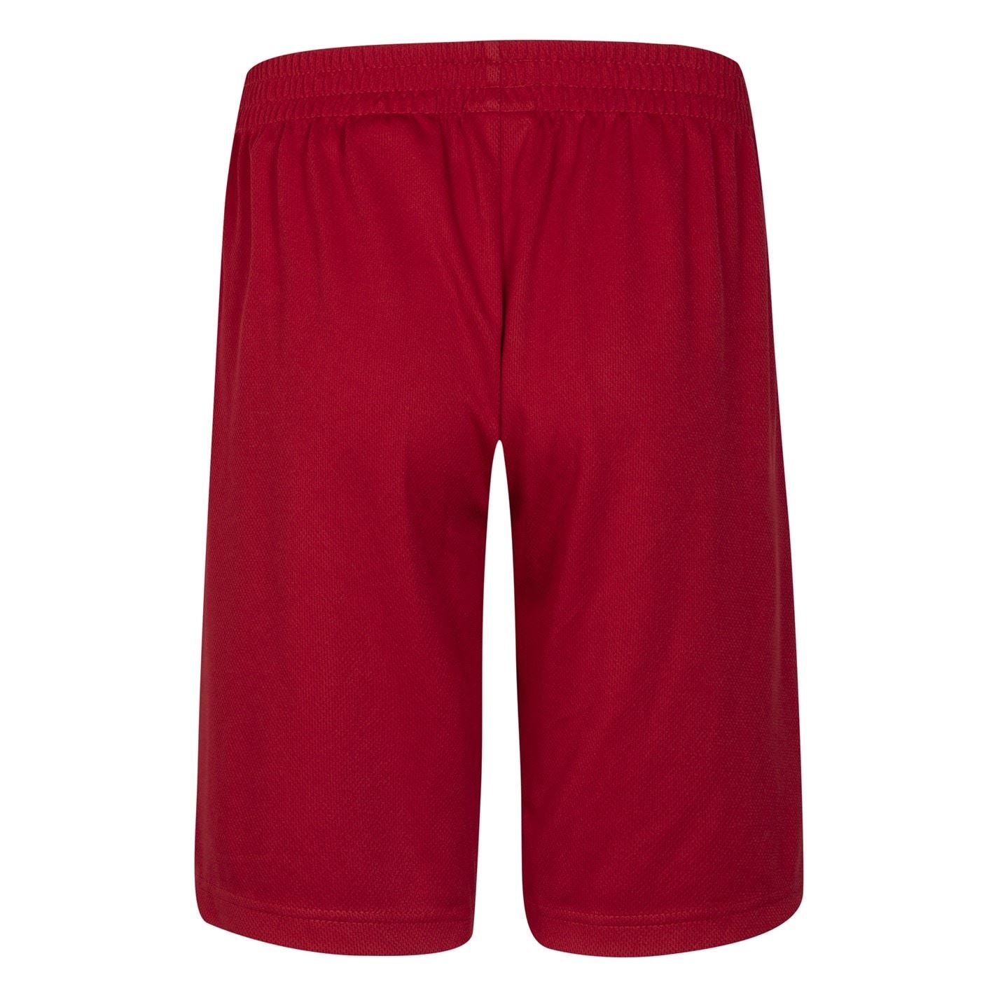 Air Jordan Junior Mesh Basketball Shorts