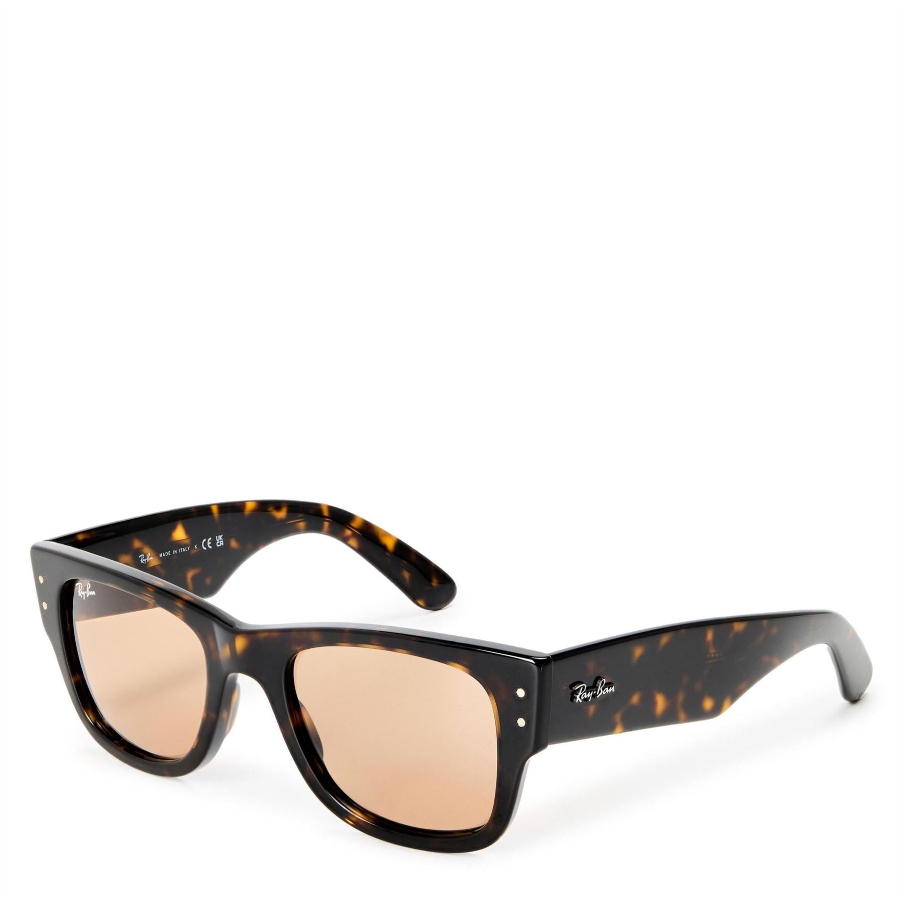 Ray-Ban Wayfarer Sunglasses