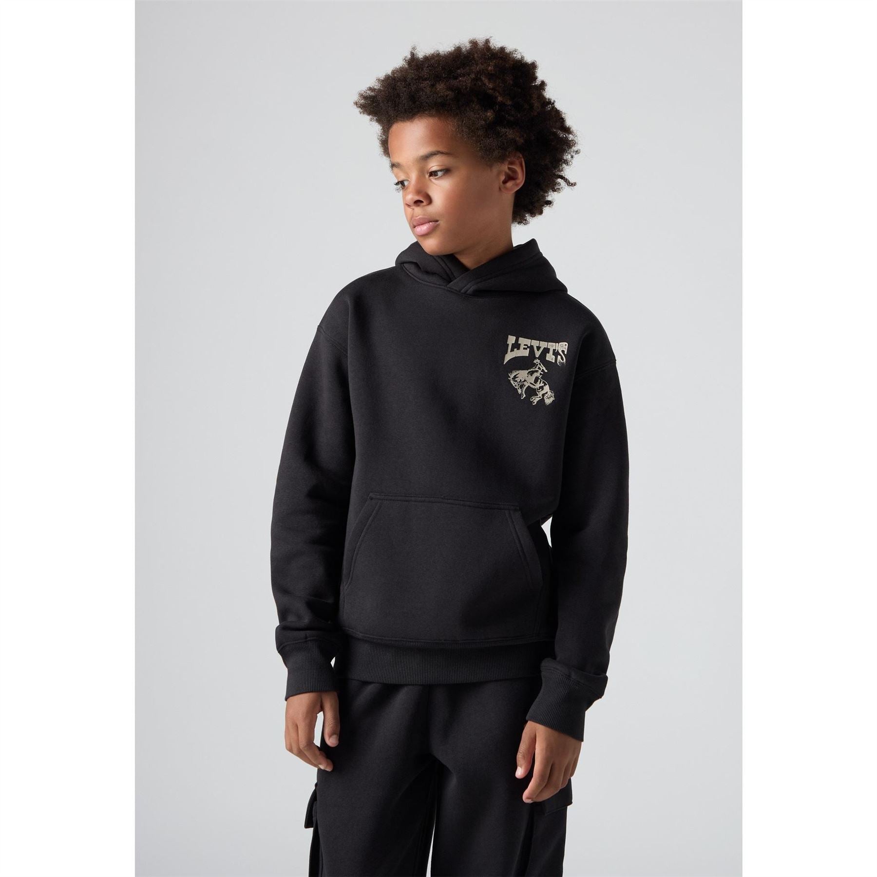 Levis Graphic Oth Jn54