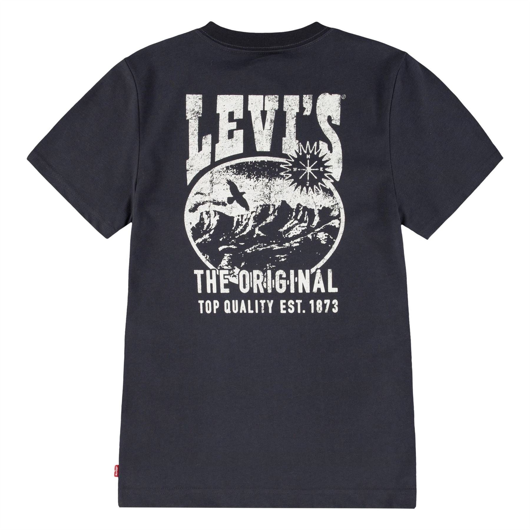 Levis Junior Regular Fit Crew Neck T-Shirt