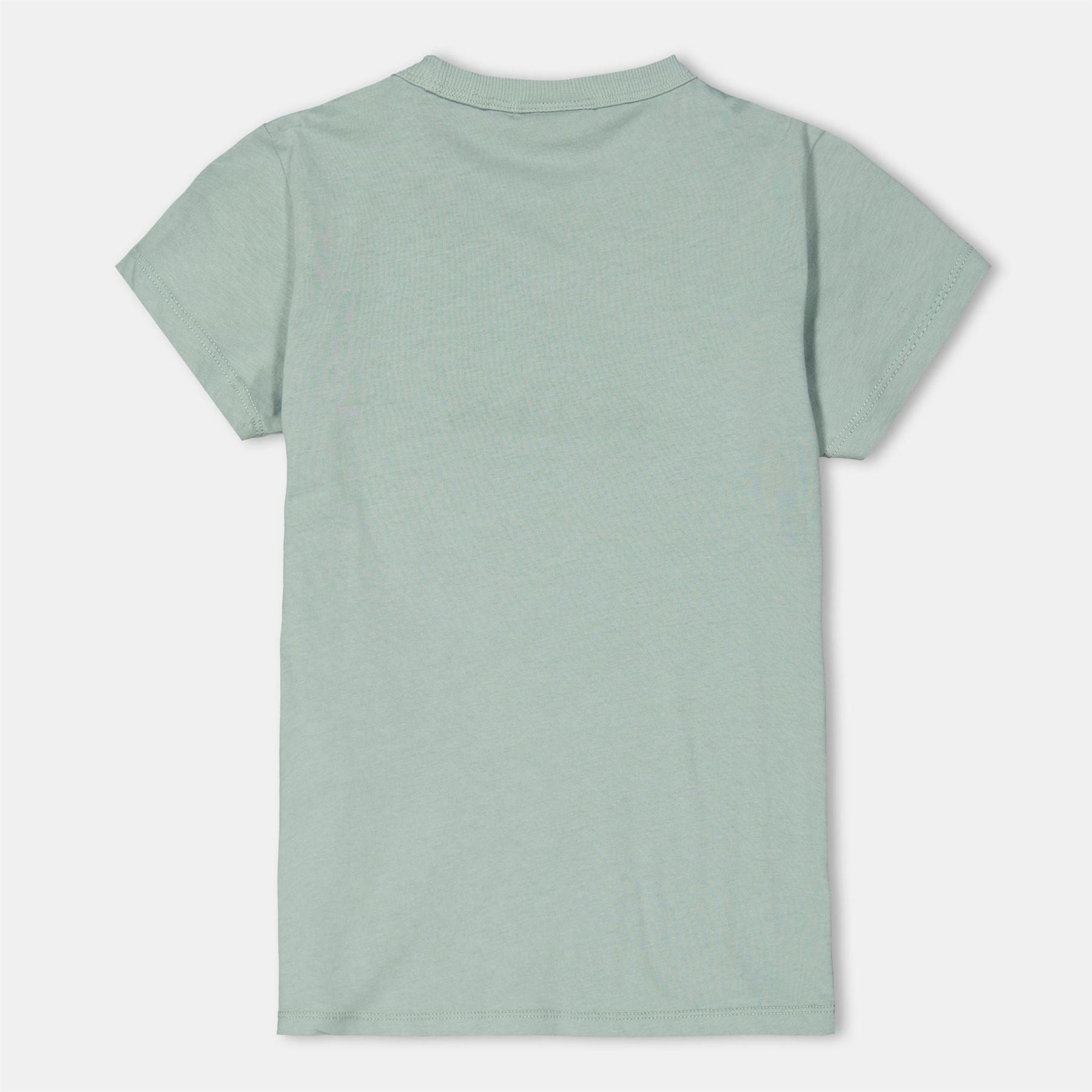 Napapijri Regular Fit Geographic Print Crew Neck Short Sleeve T-Shirt