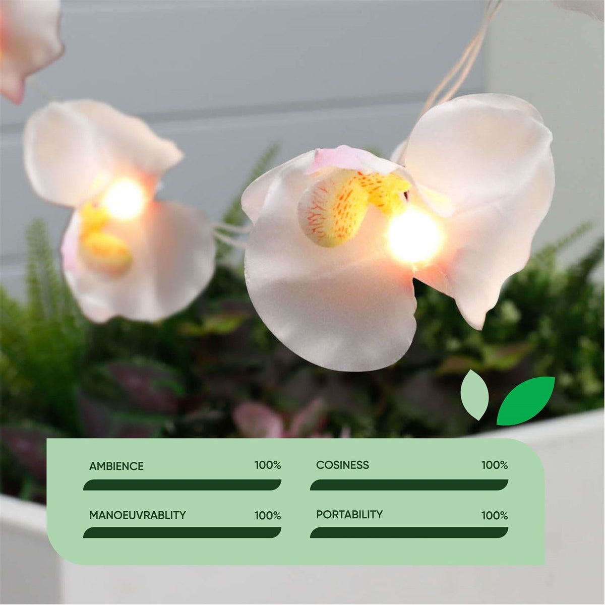 Streetwize Solar Lights