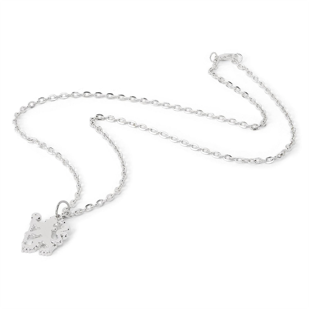 Team Officially Licensed Silver Plated Pendant And Chain