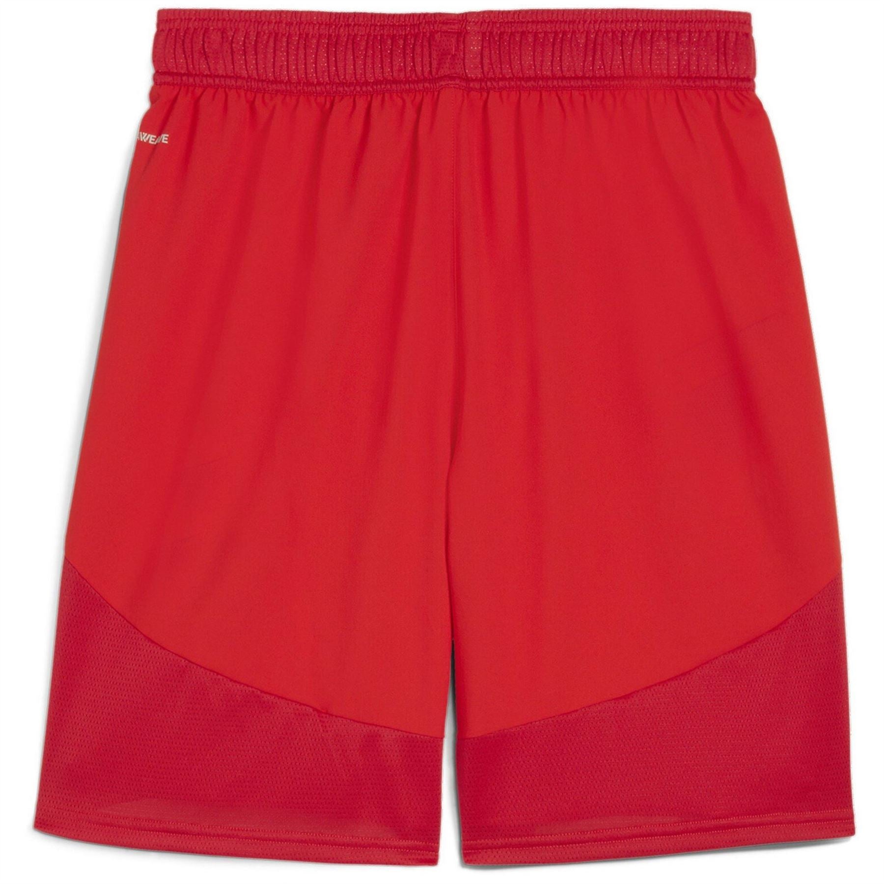 Puma Mens Teamfinal Shorts Football Shorts