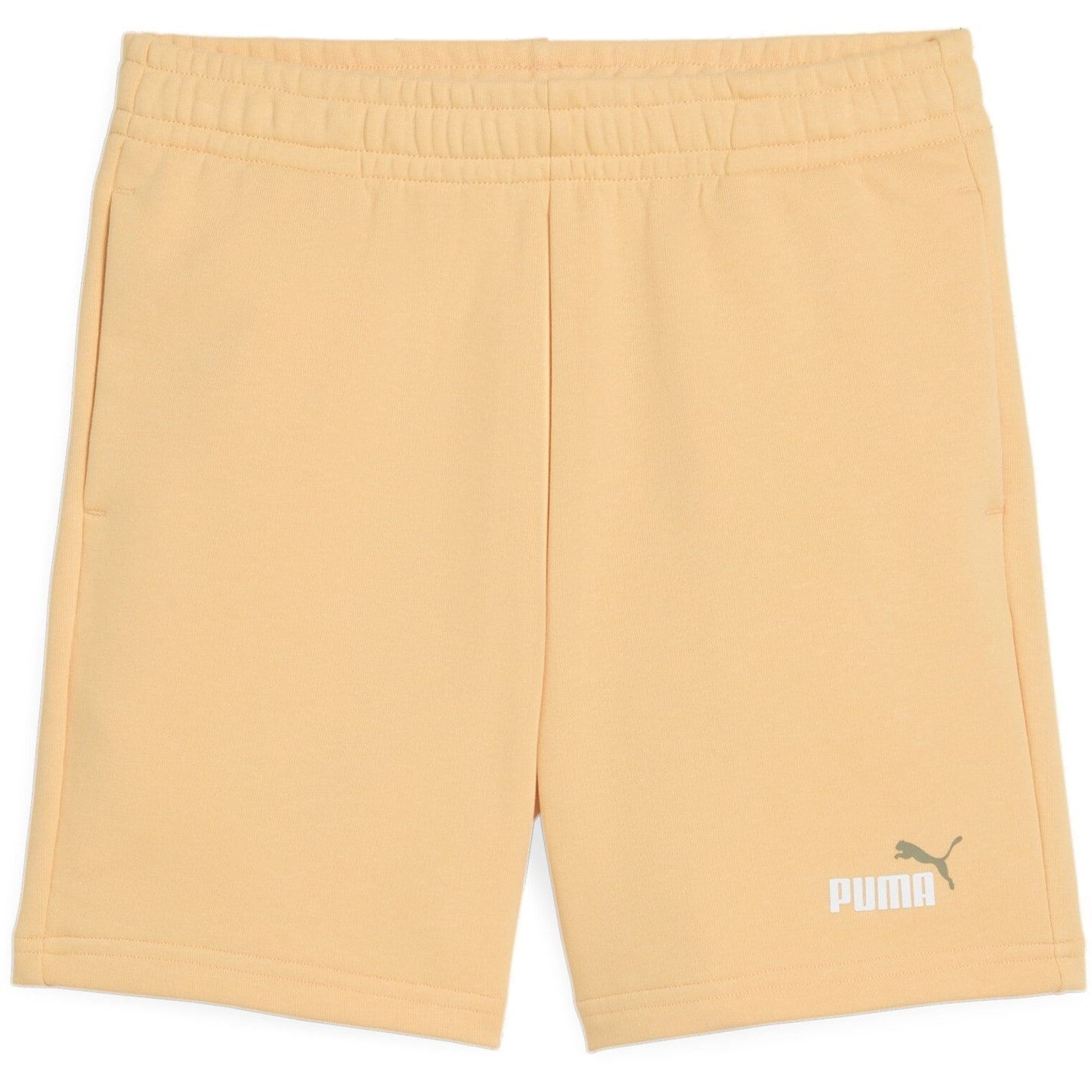 Puma Ess 2 Color No. 1 Logo Shorts Tr B Jogger Short Boys