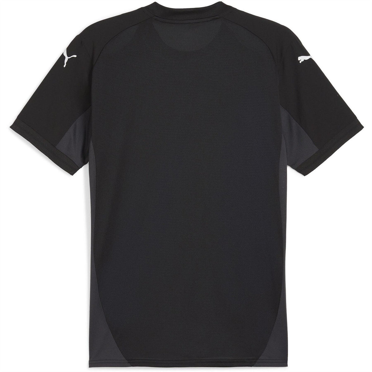 Puma Mens Teamfinal Jersey T-Shirt