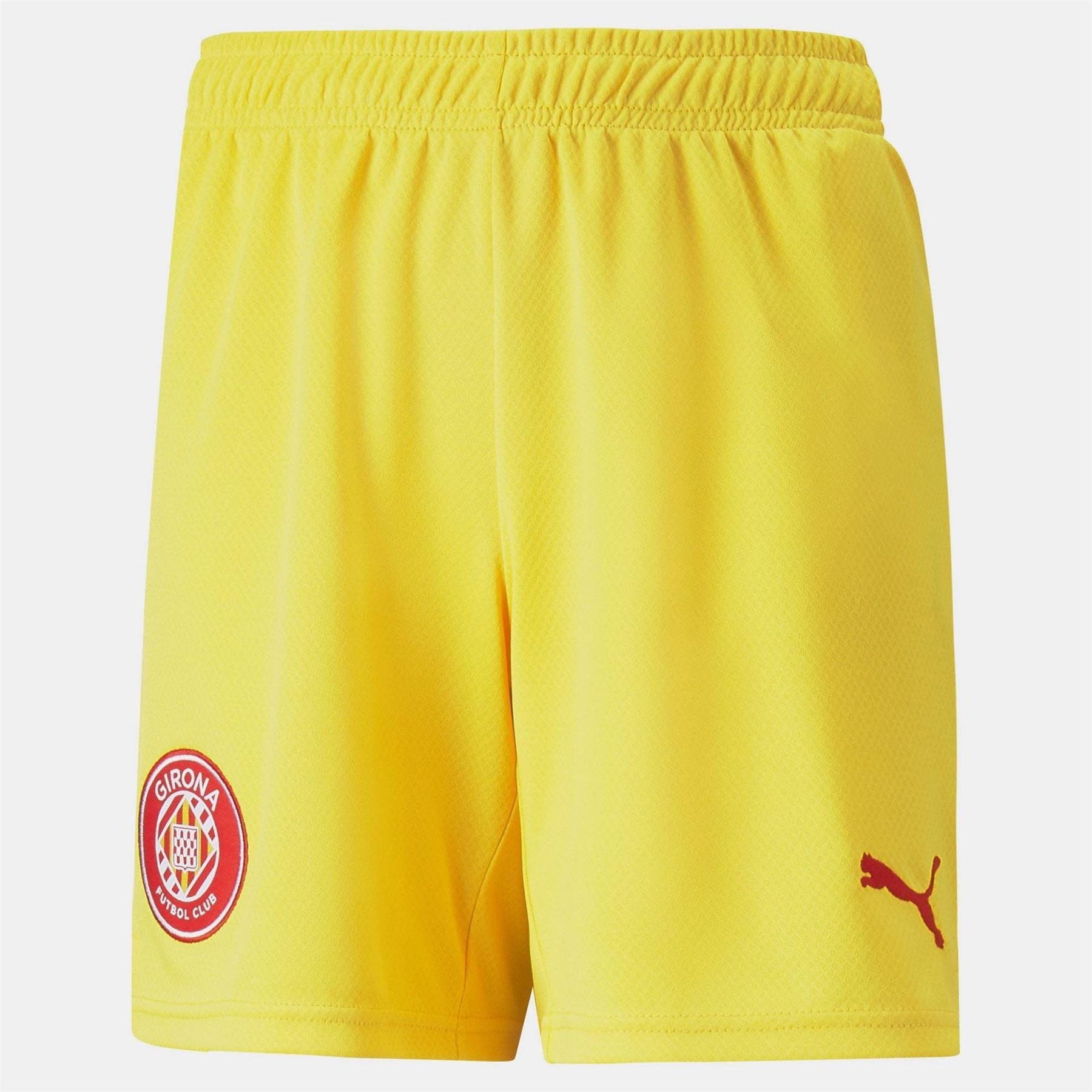 Puma Fc Replica Shorts