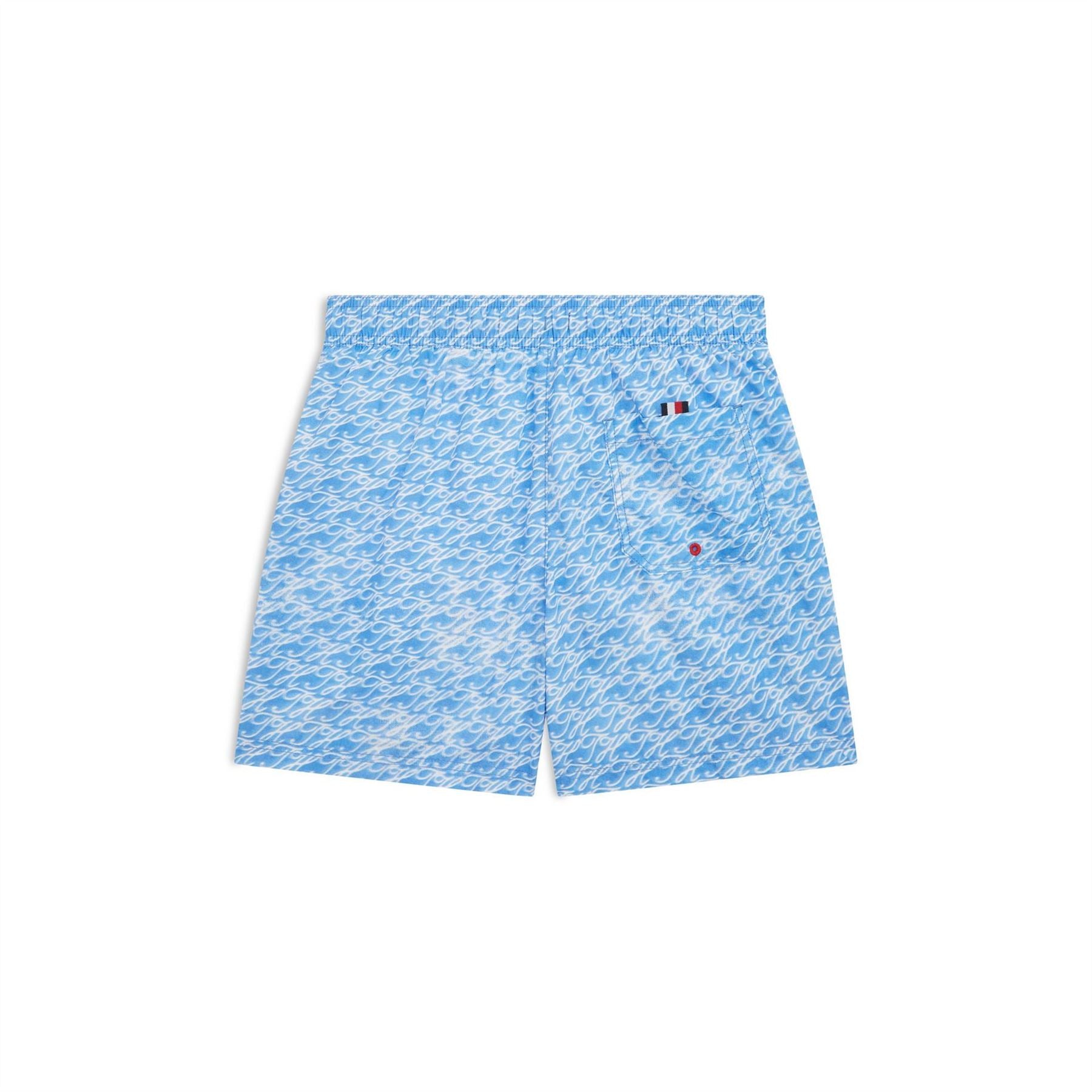 Tommy Hilfiger Swim Shorts