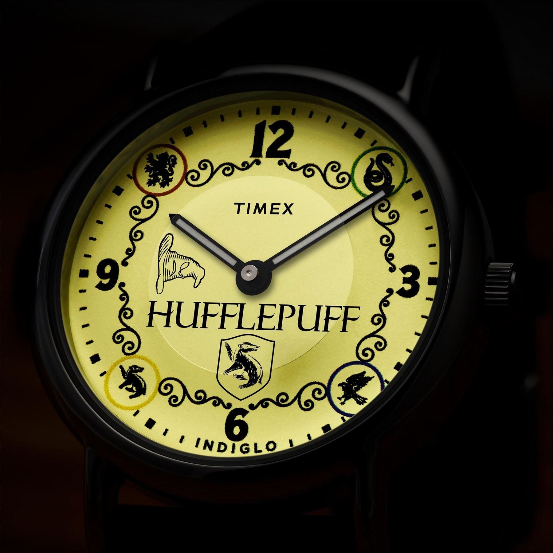 Timex Potter Quartz Analogue Watch
