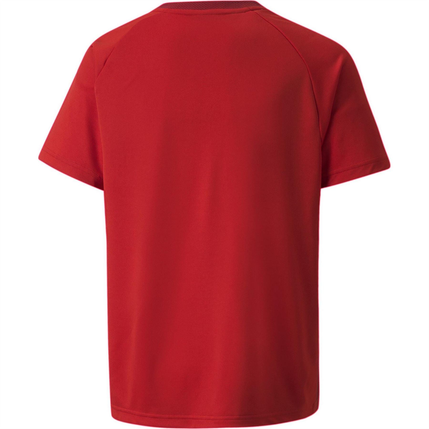Puma Teamvision Jersey Jr T-Shirt Unisex Kids