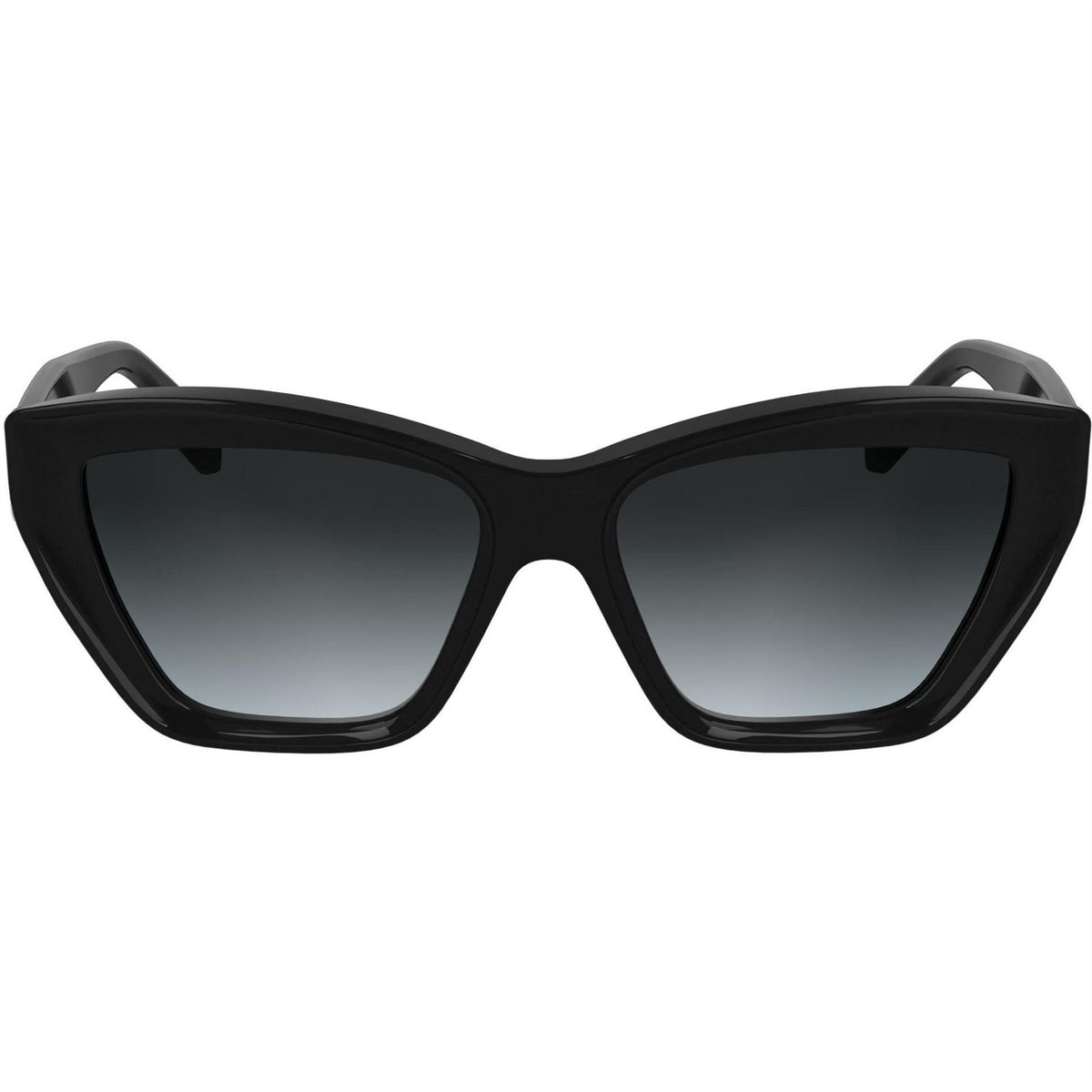 Karl Lagerfeld Cat Eye Sunglasses