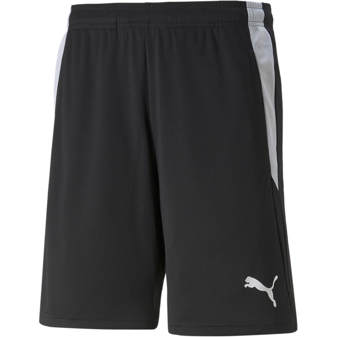 Puma Teamliga Referee Football Shorts