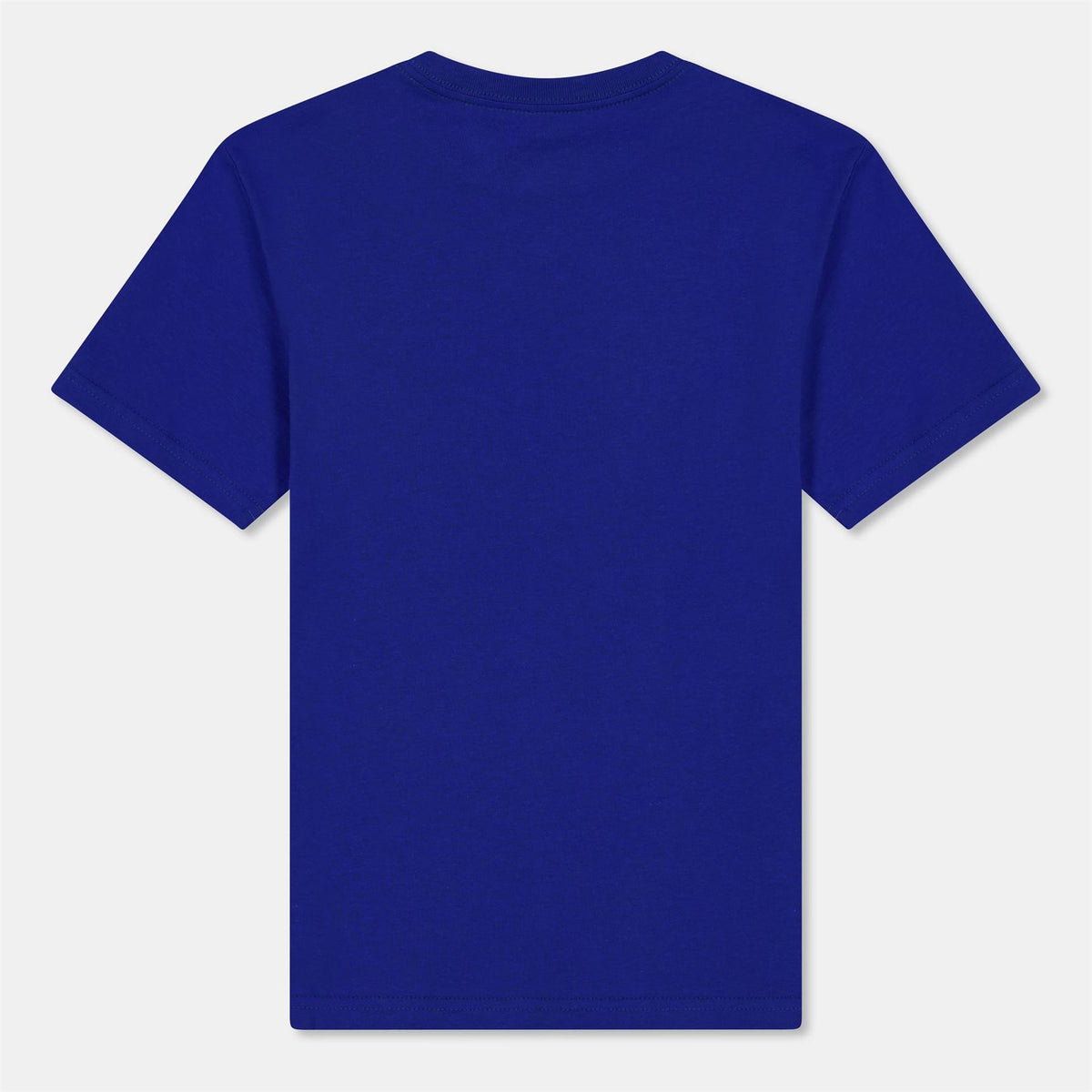 Polo Ralph Lauren Regular Fit Short Sleeve T-Shirt