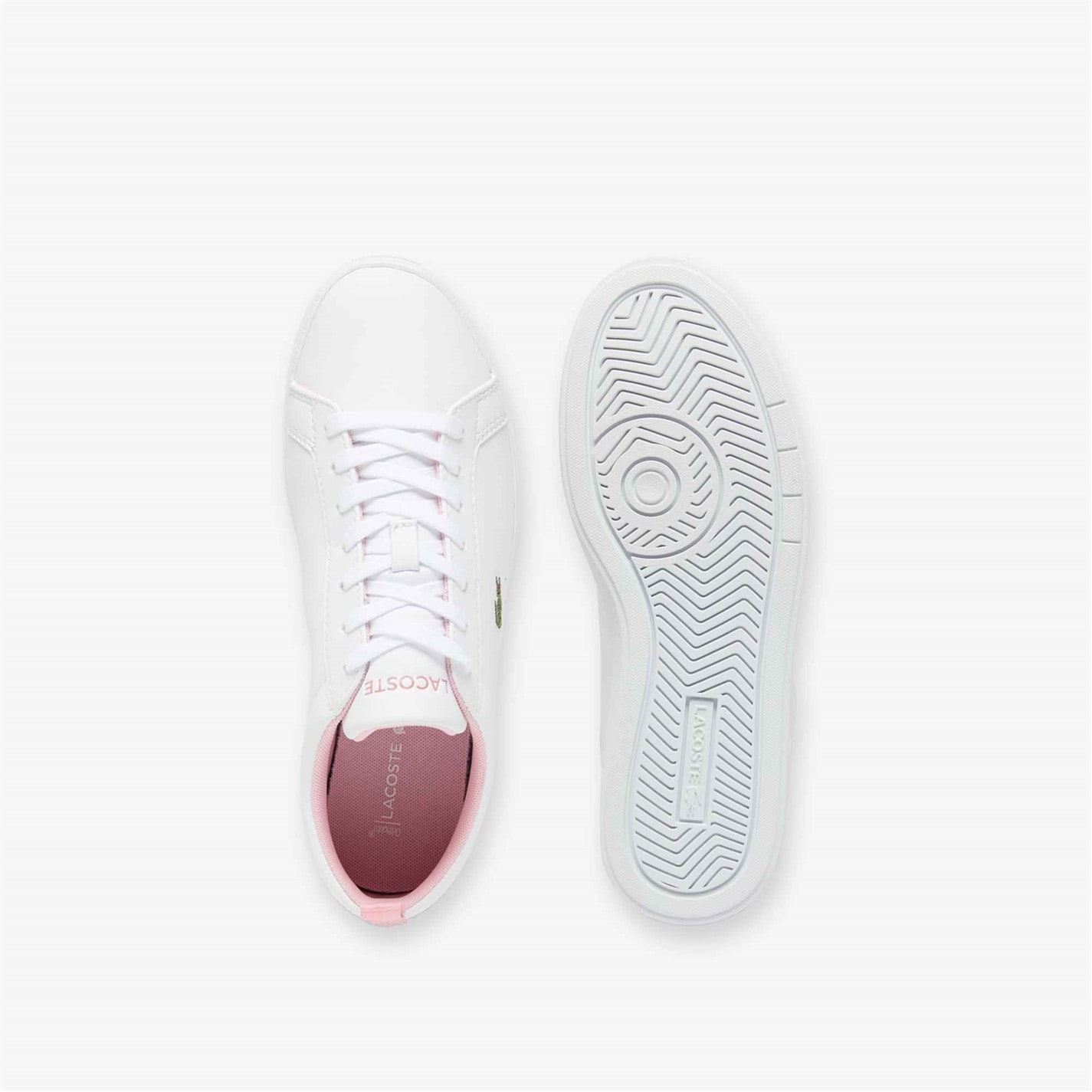 Lacoste Low Top Trainers
