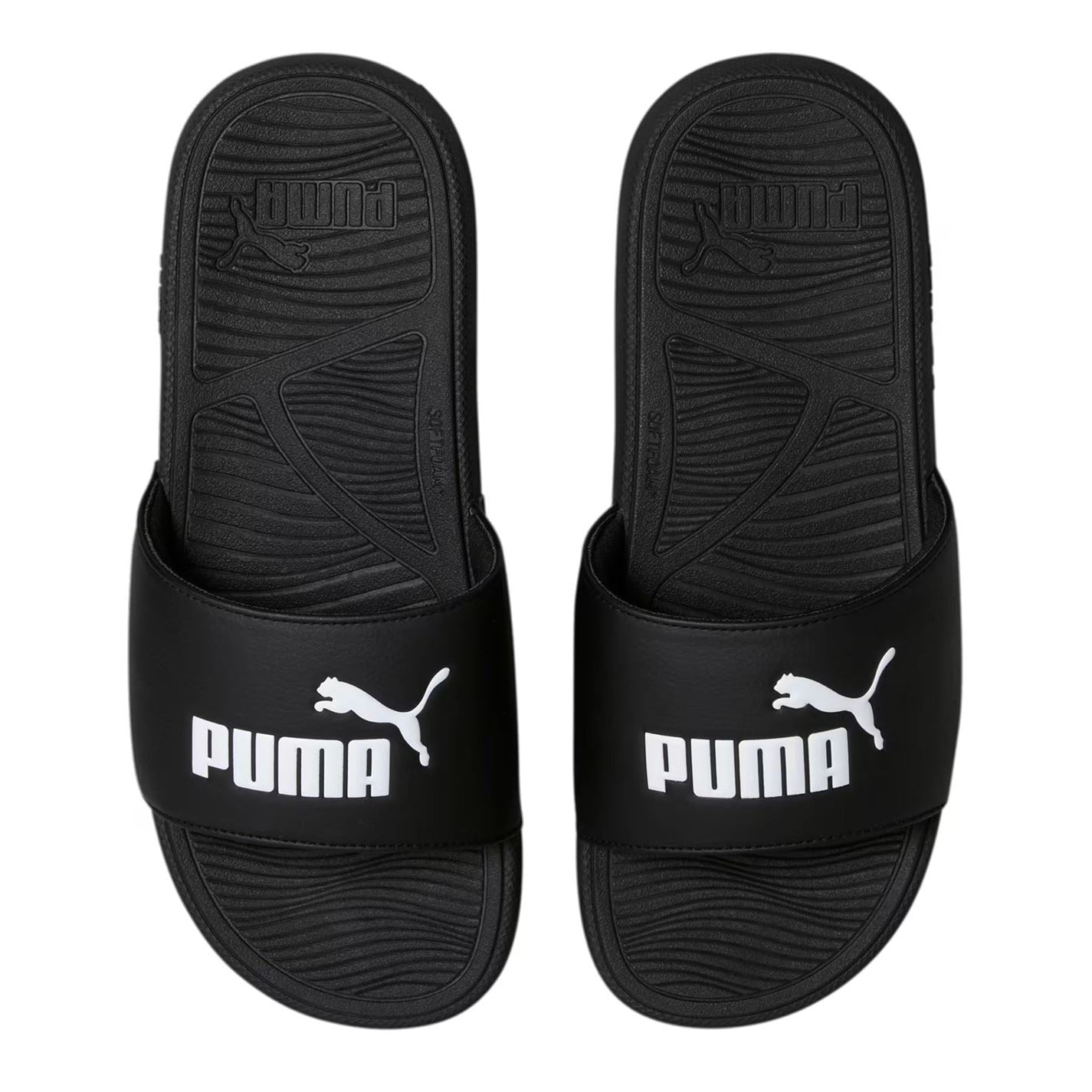 Puma Cat 2.0