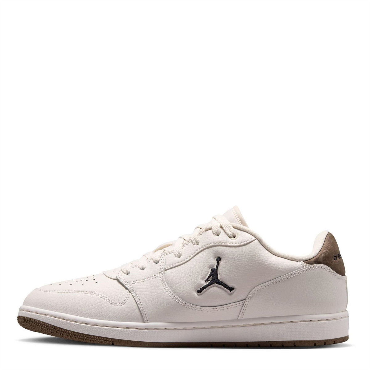 Air Jordan Access Low Top Lace-Up Sneakers