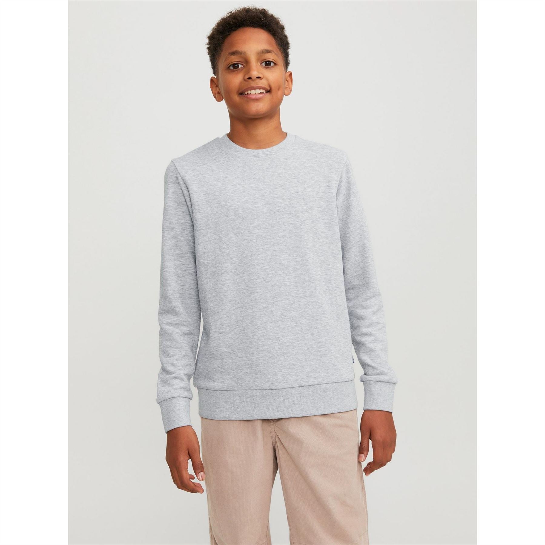 Jack and Jones Crew Neck Regular Fit Long Sleeve Sweater