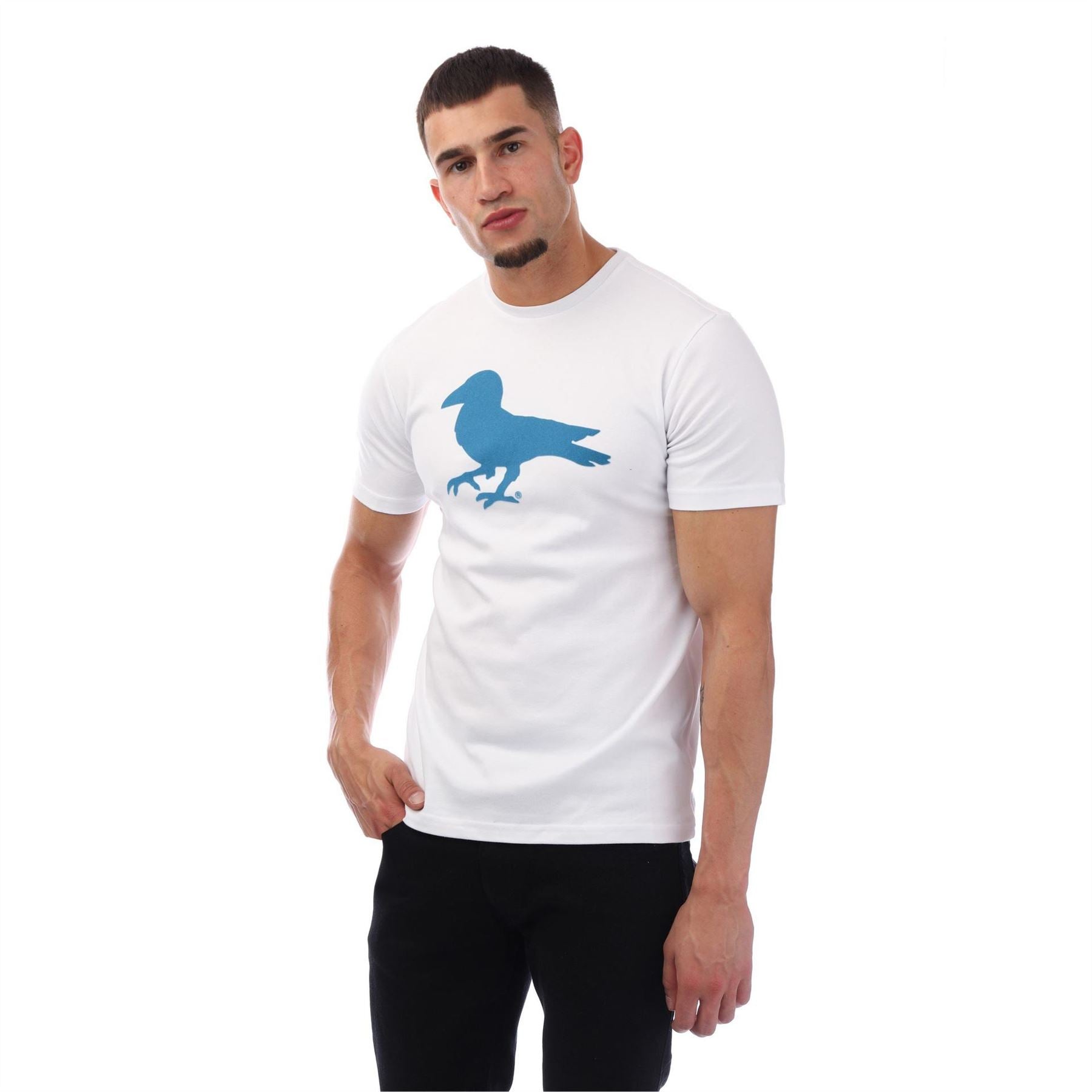 Modern Amusement Robin Graphic Regular Fit Crew Neck T-Shirt