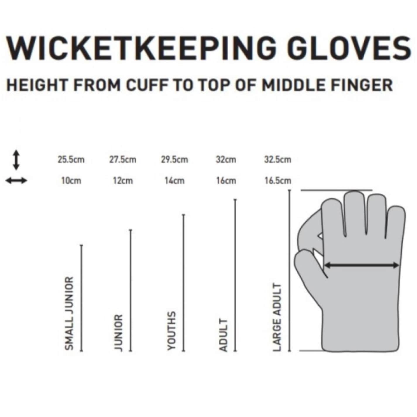 Gunn And Moore  And  Moore Aion 300 Wk Glove Youths