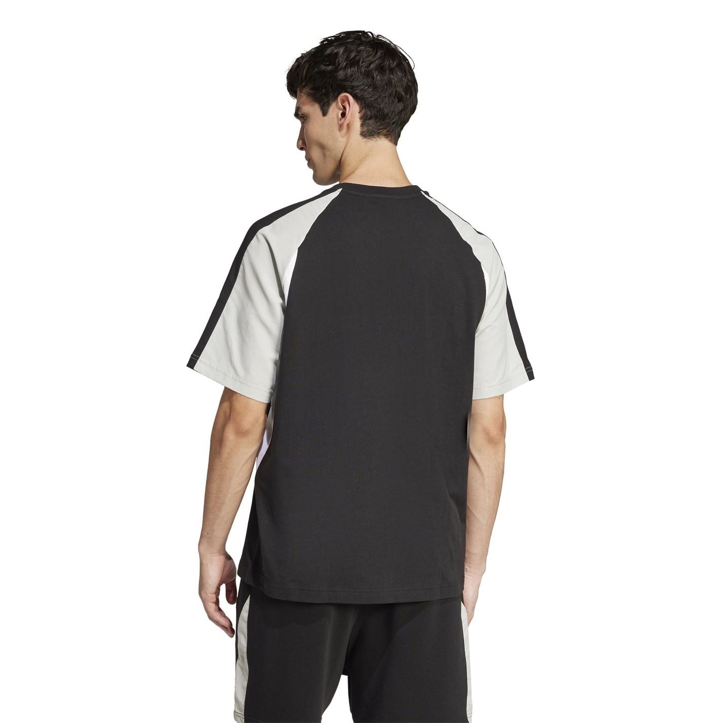 adidas Mens Seasonal Essentials Colorblock T-Shirt