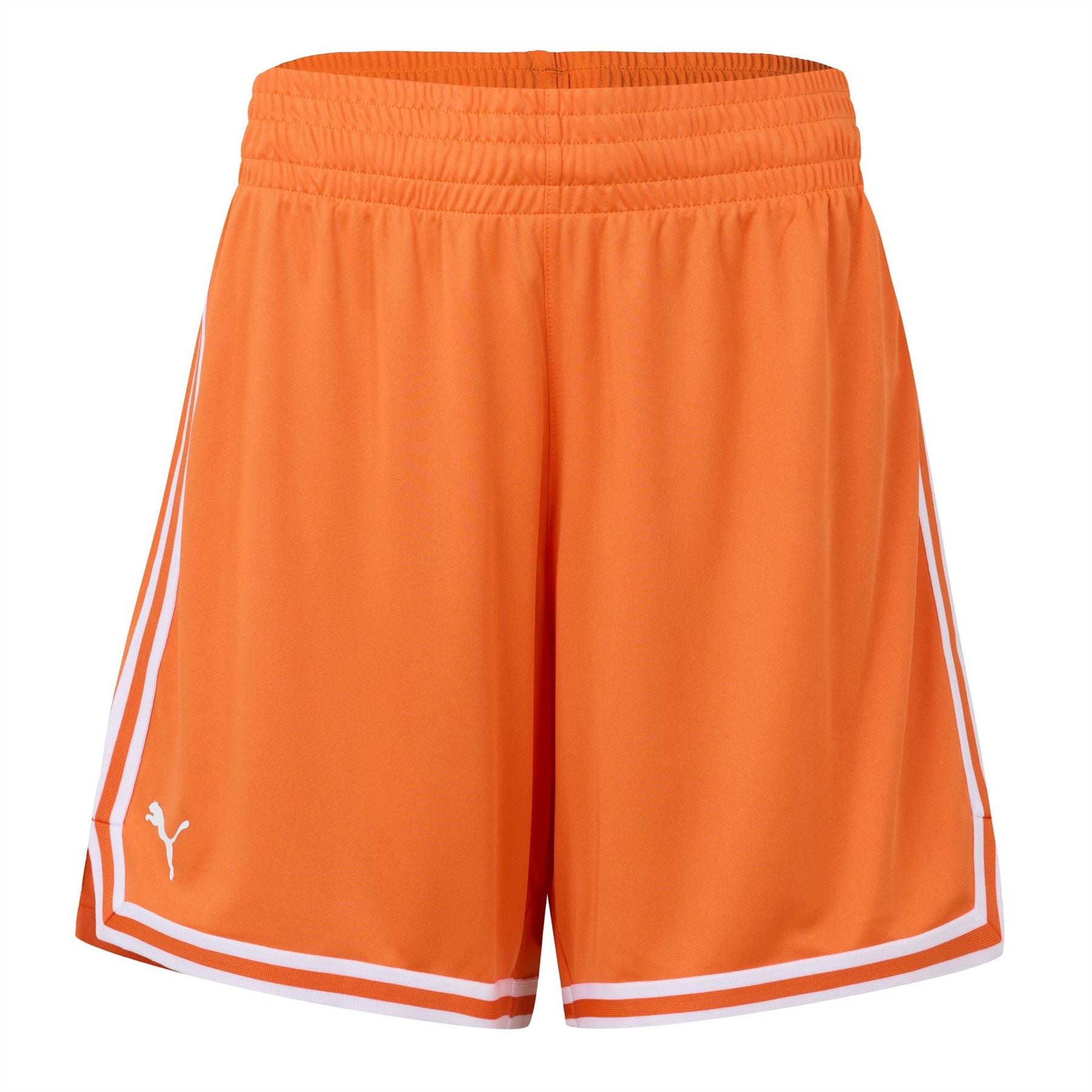 Puma Hoops Team Game Performance Shorts