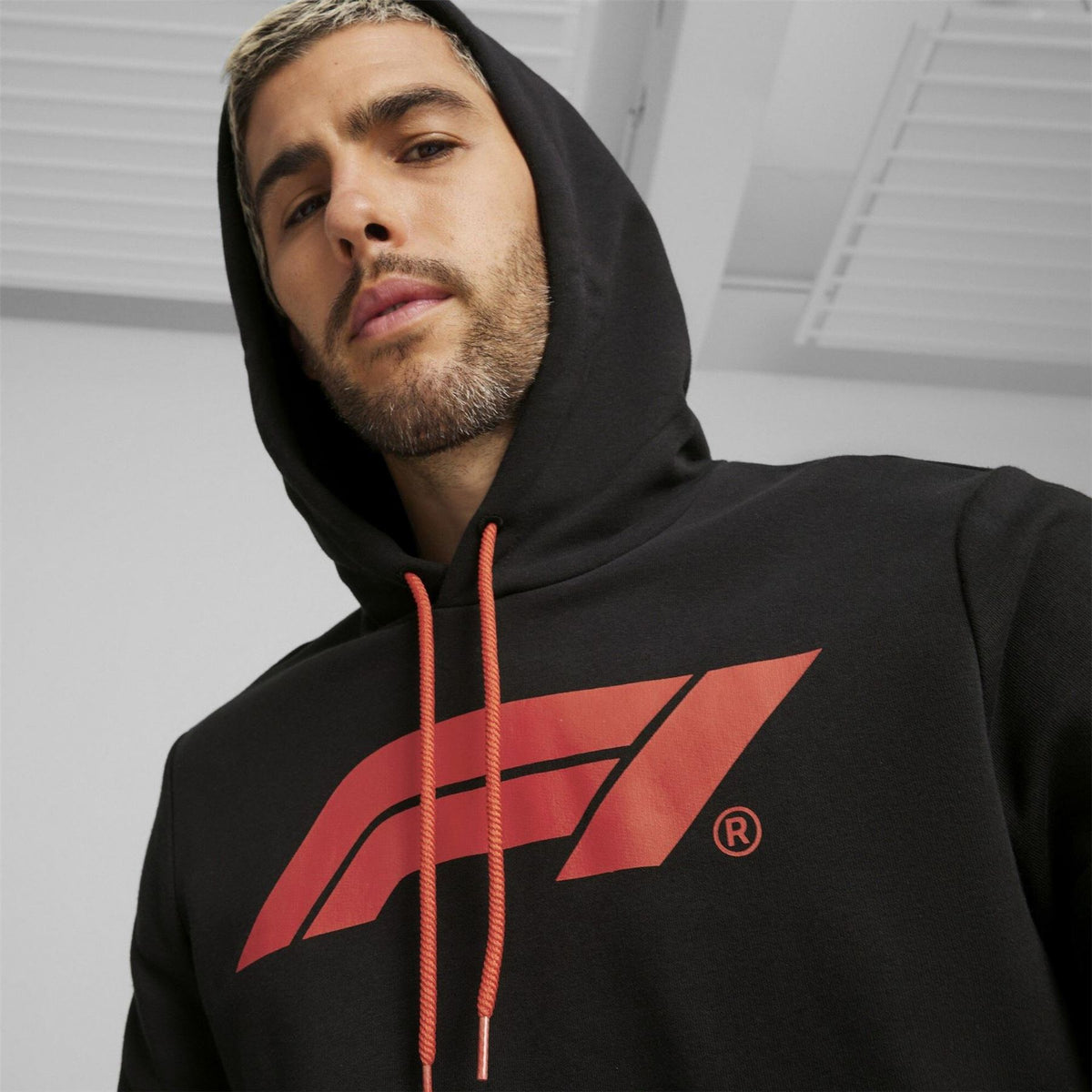 Puma F1 Ess Logo Cotton Over The Head Hoodie