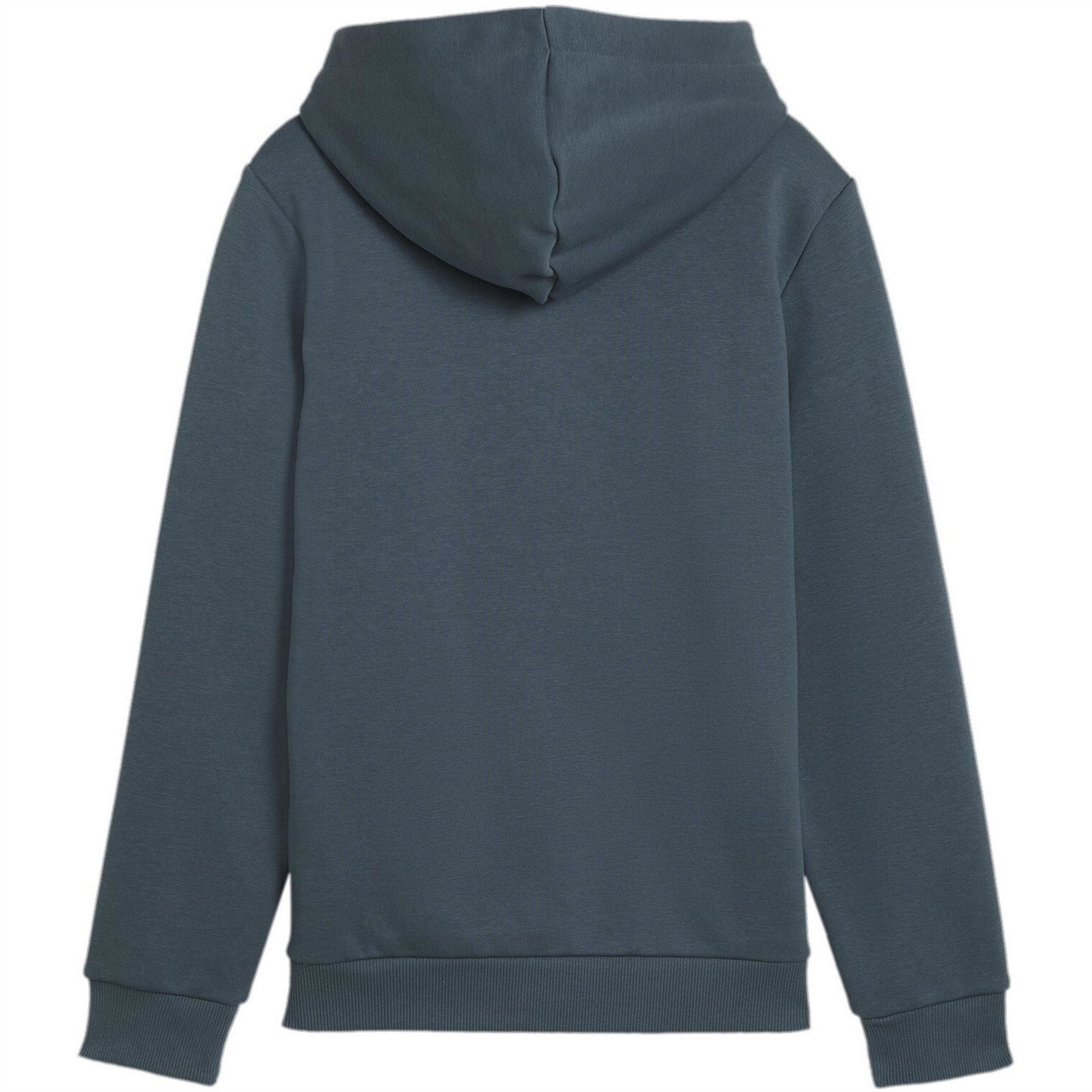 Puma No1 Oth Hoodie Junior Boys