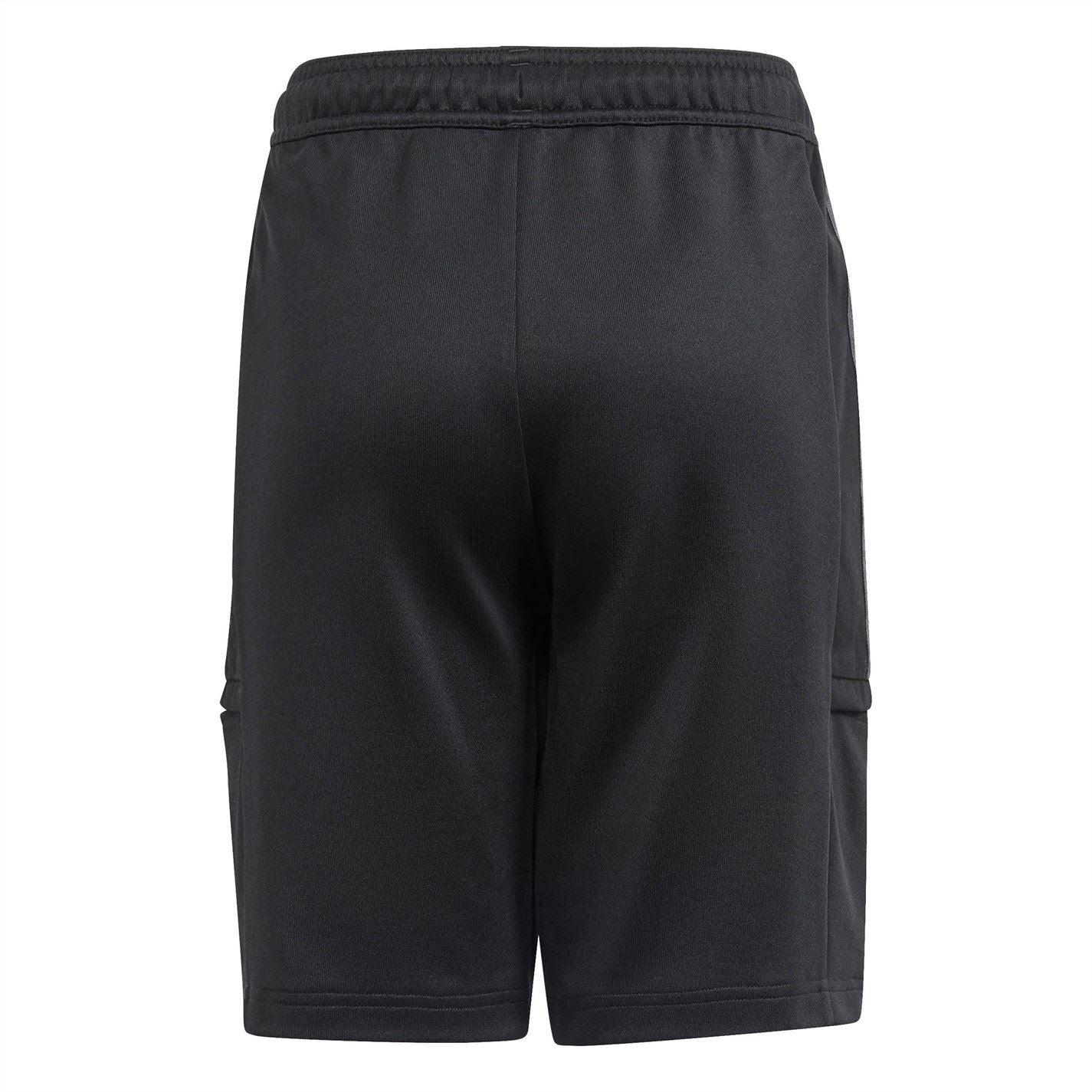 adidas Tiro 24 7 Shorts Junior Boys