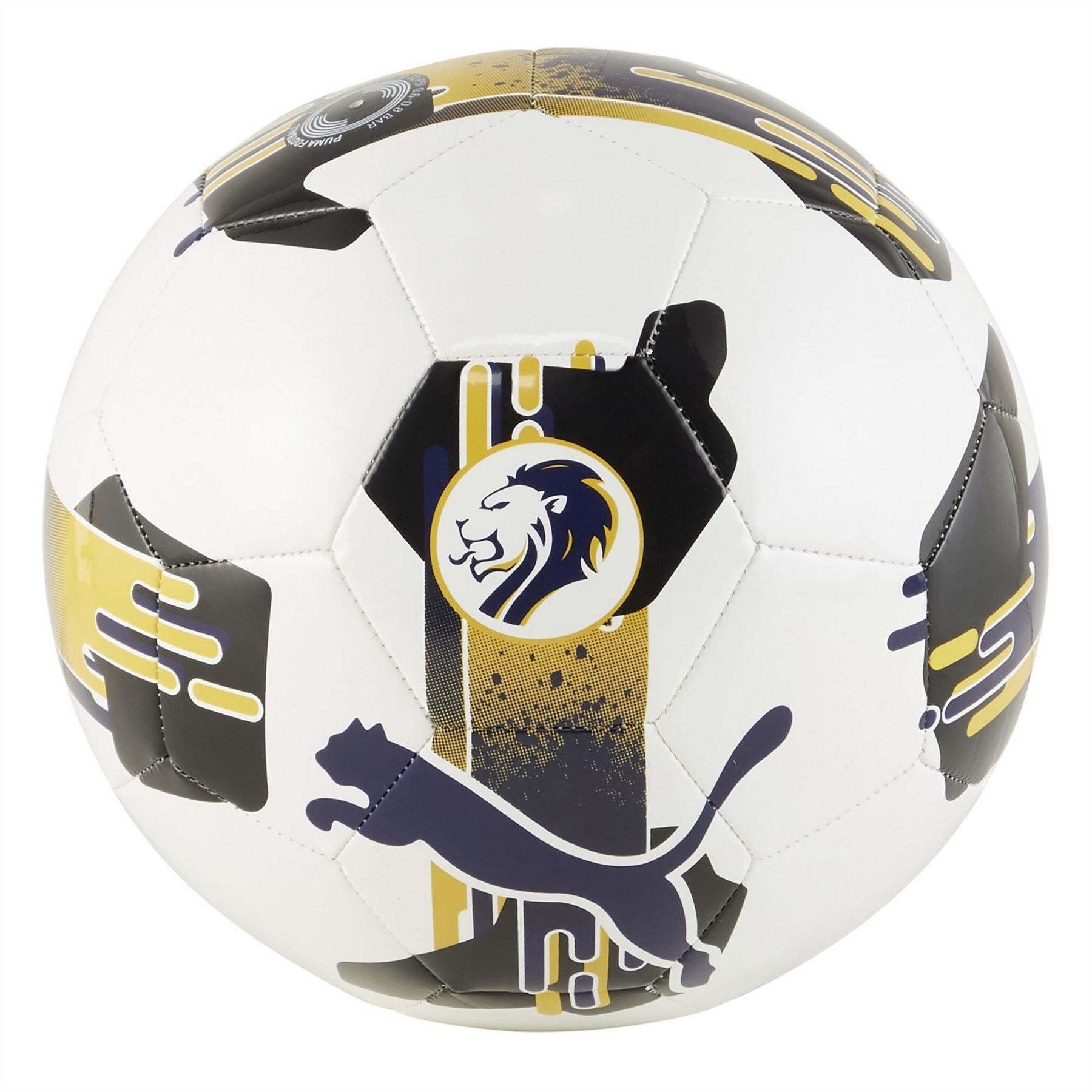 Puma Orbita 6 Spfl Football 2024 2025