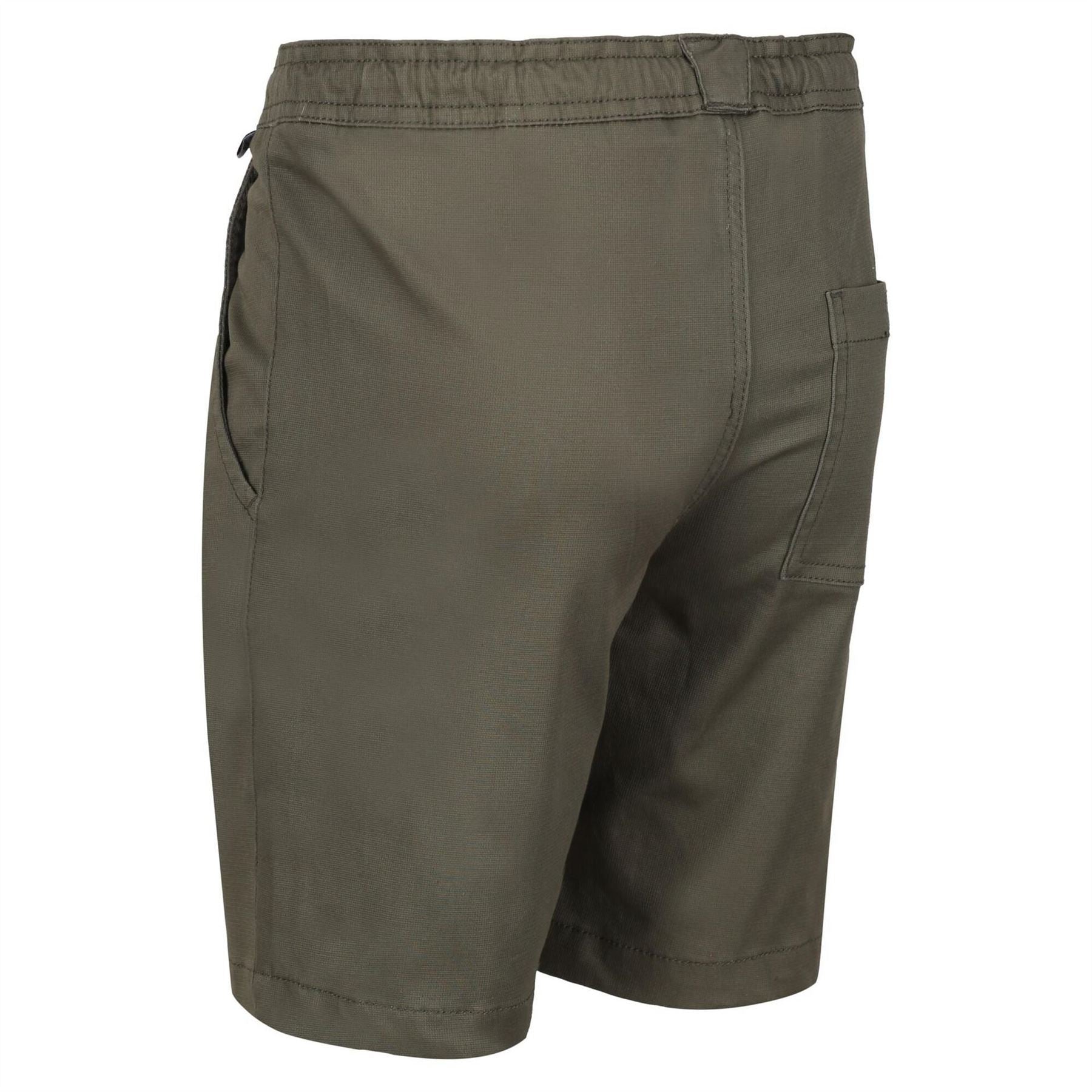 Regatta Alber Walking Shorts