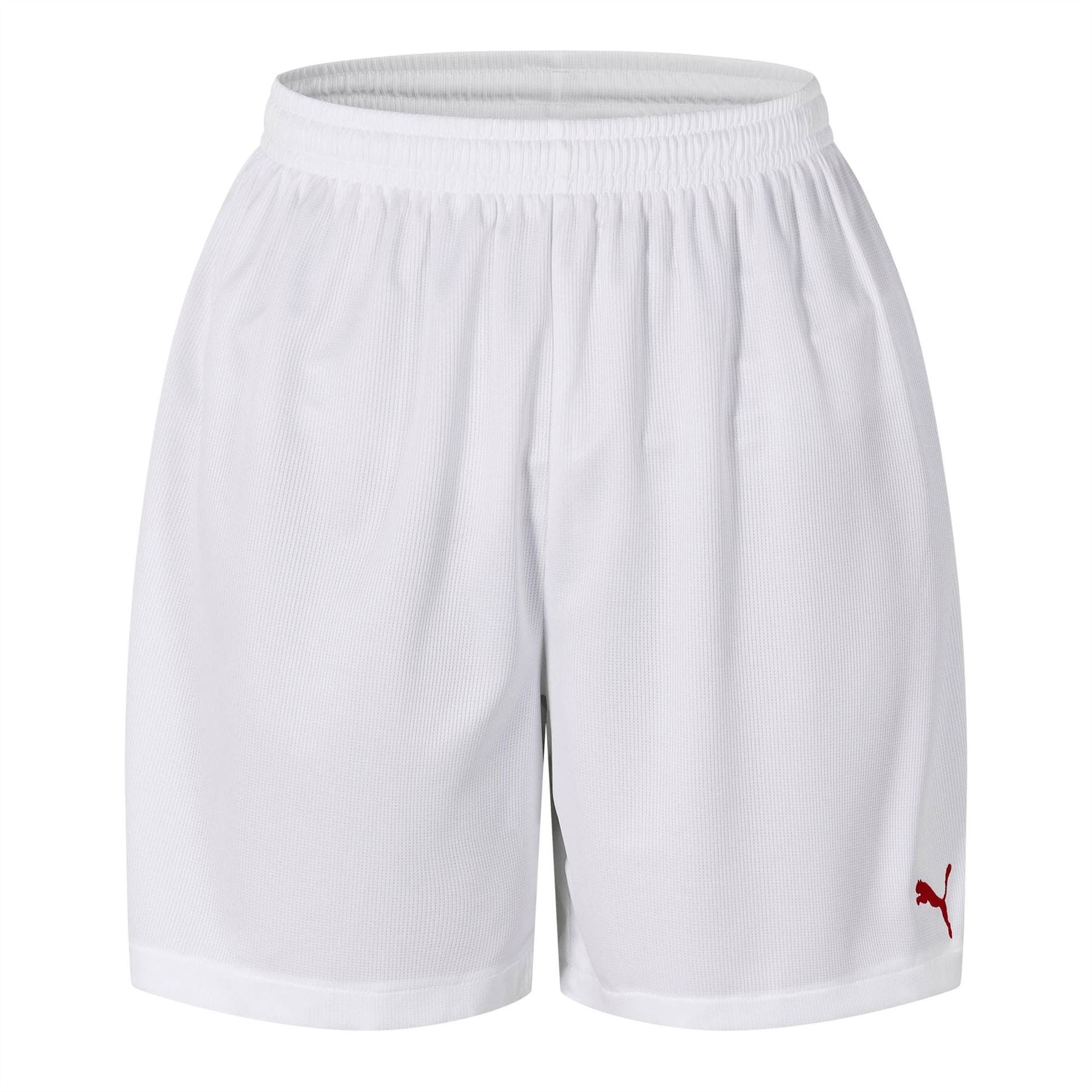 Puma Mens (fb) Vencida Shorts2 W Inner