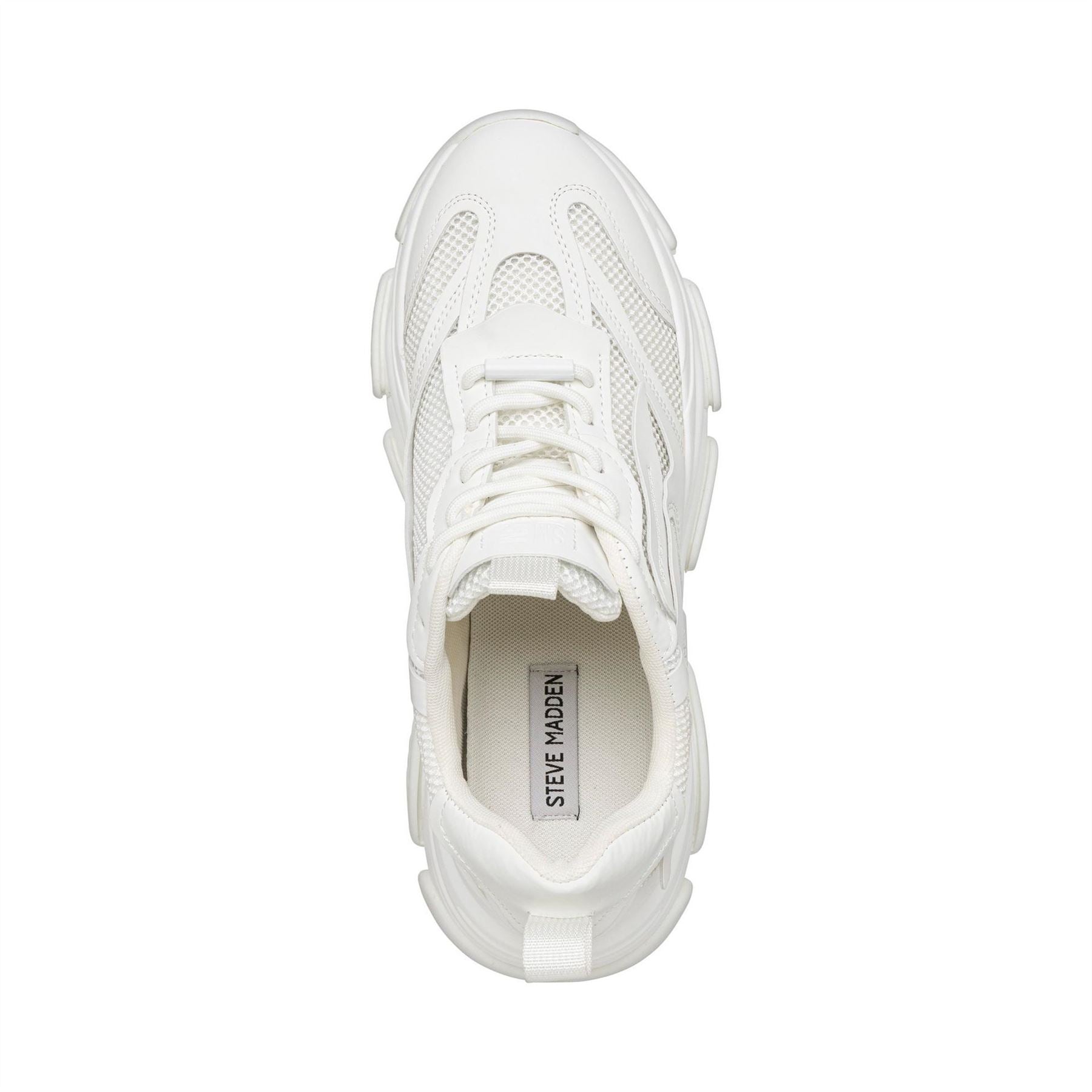 Steve Madden Trainers