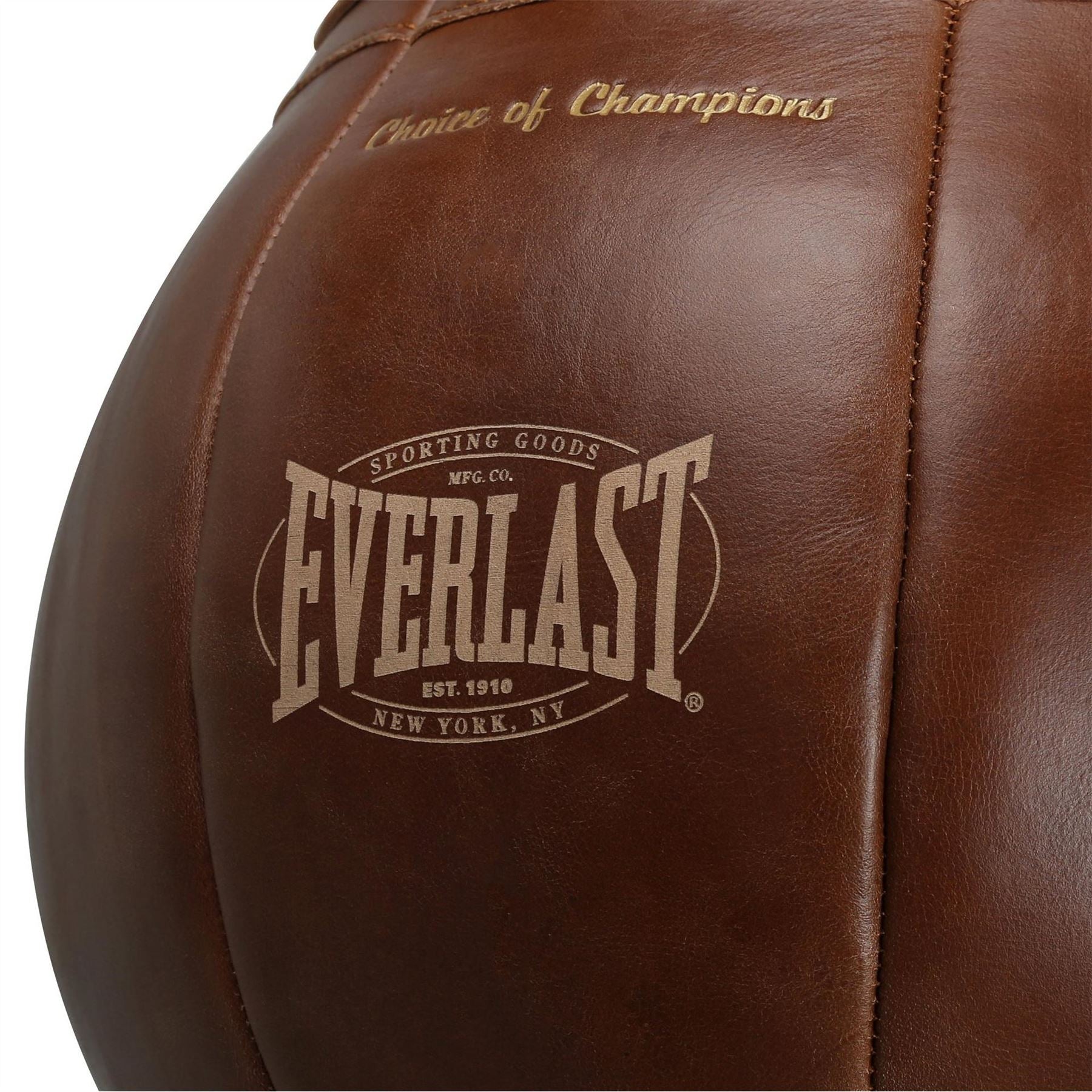 Everlast Pro Leather 3 In 1 Punching Bag