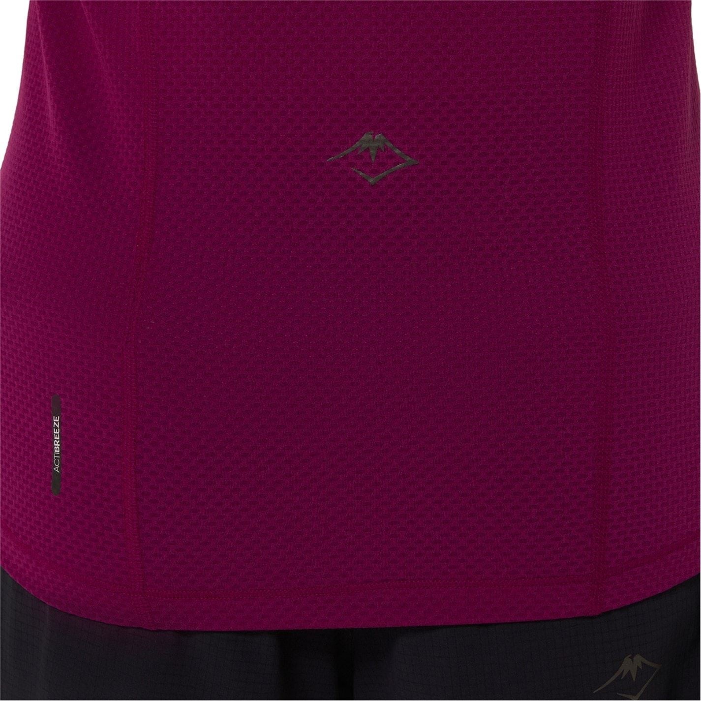 Asics Fuji Short Sleeve Top