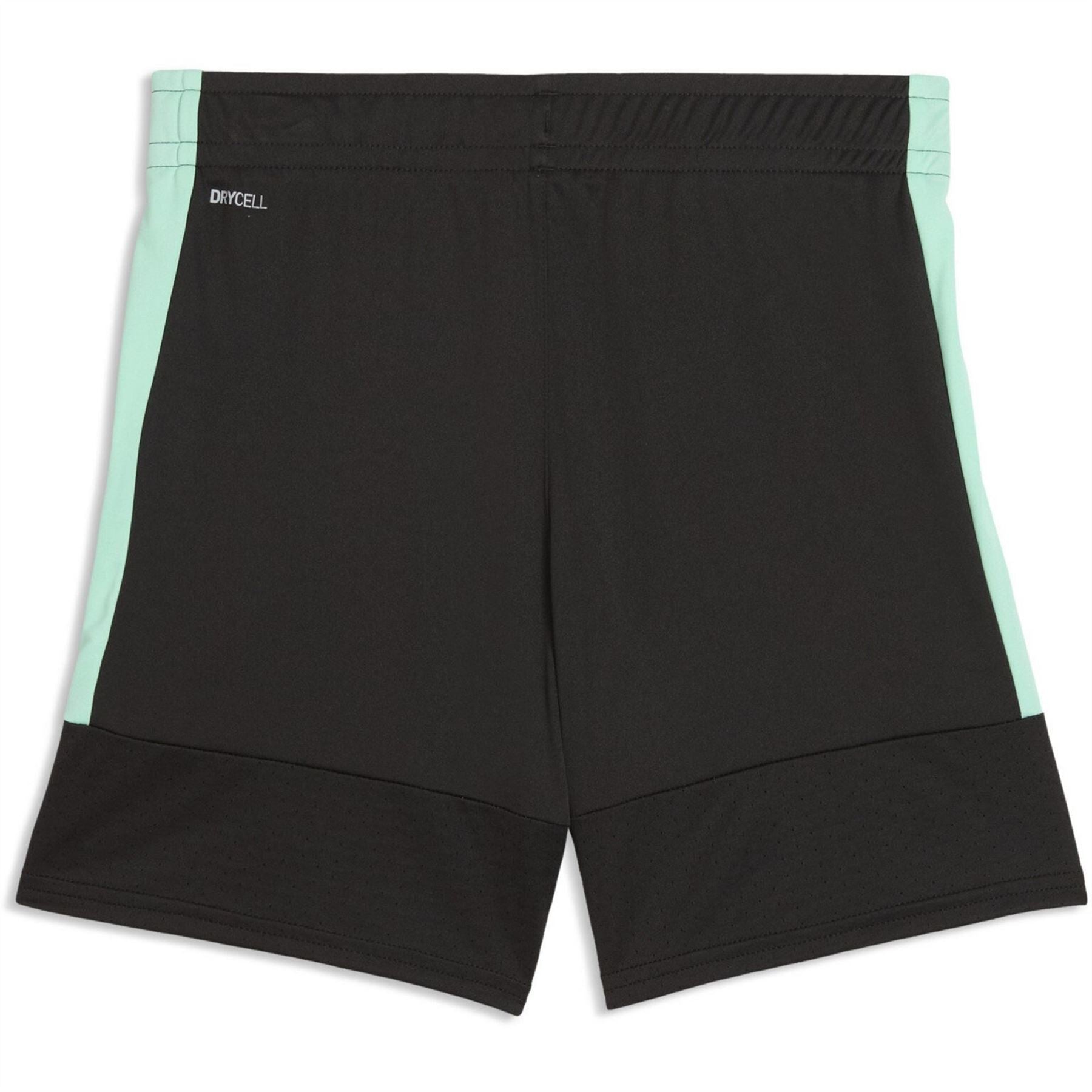 Puma Football Shorts
