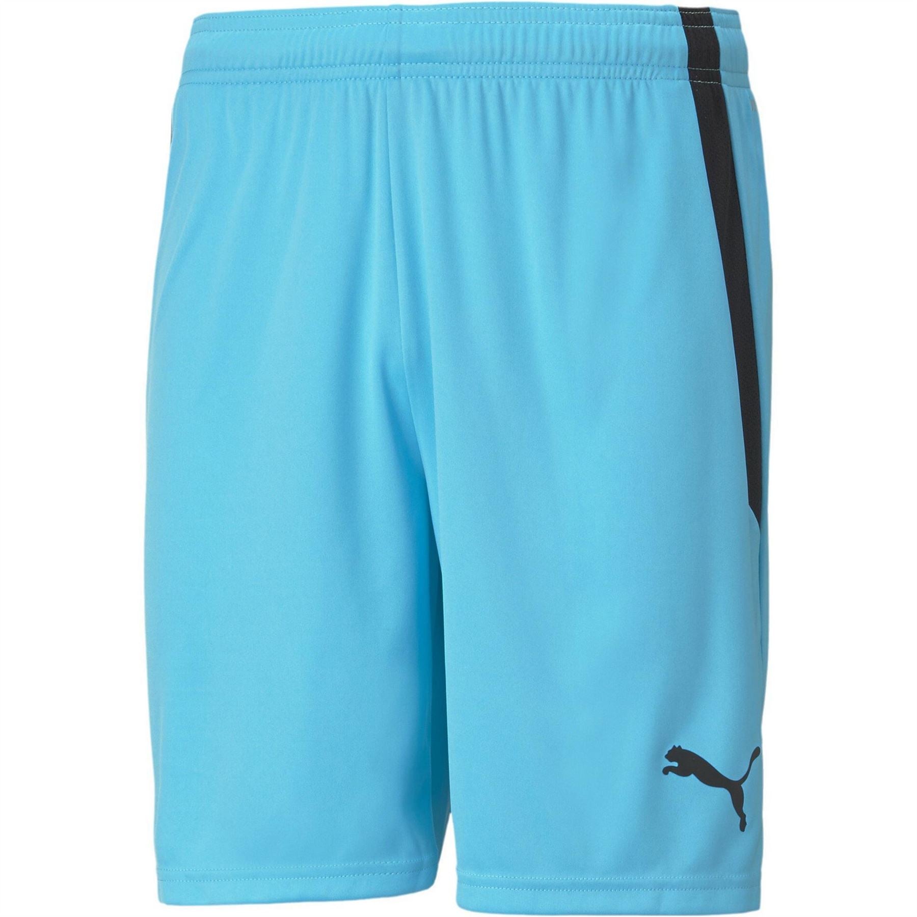 Puma Mens Teamliga Shorts Football Shorts