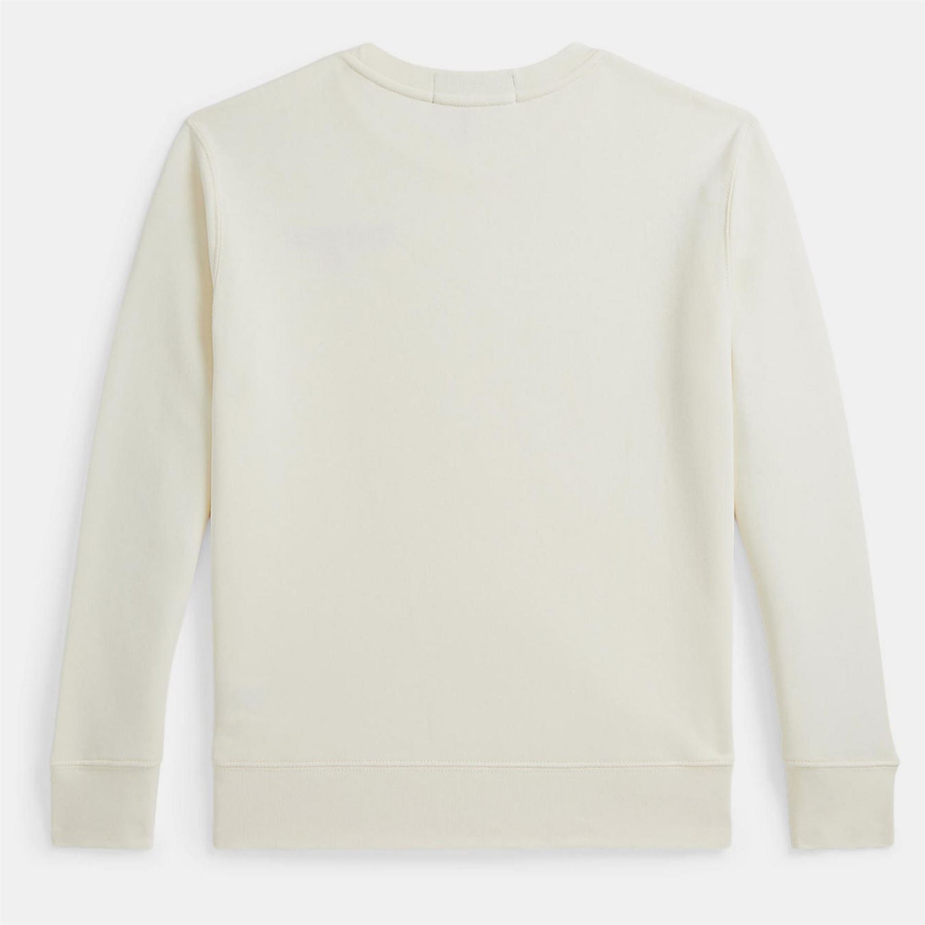 Polo Sport by Ralph Lauren Logo Sweater Juniors