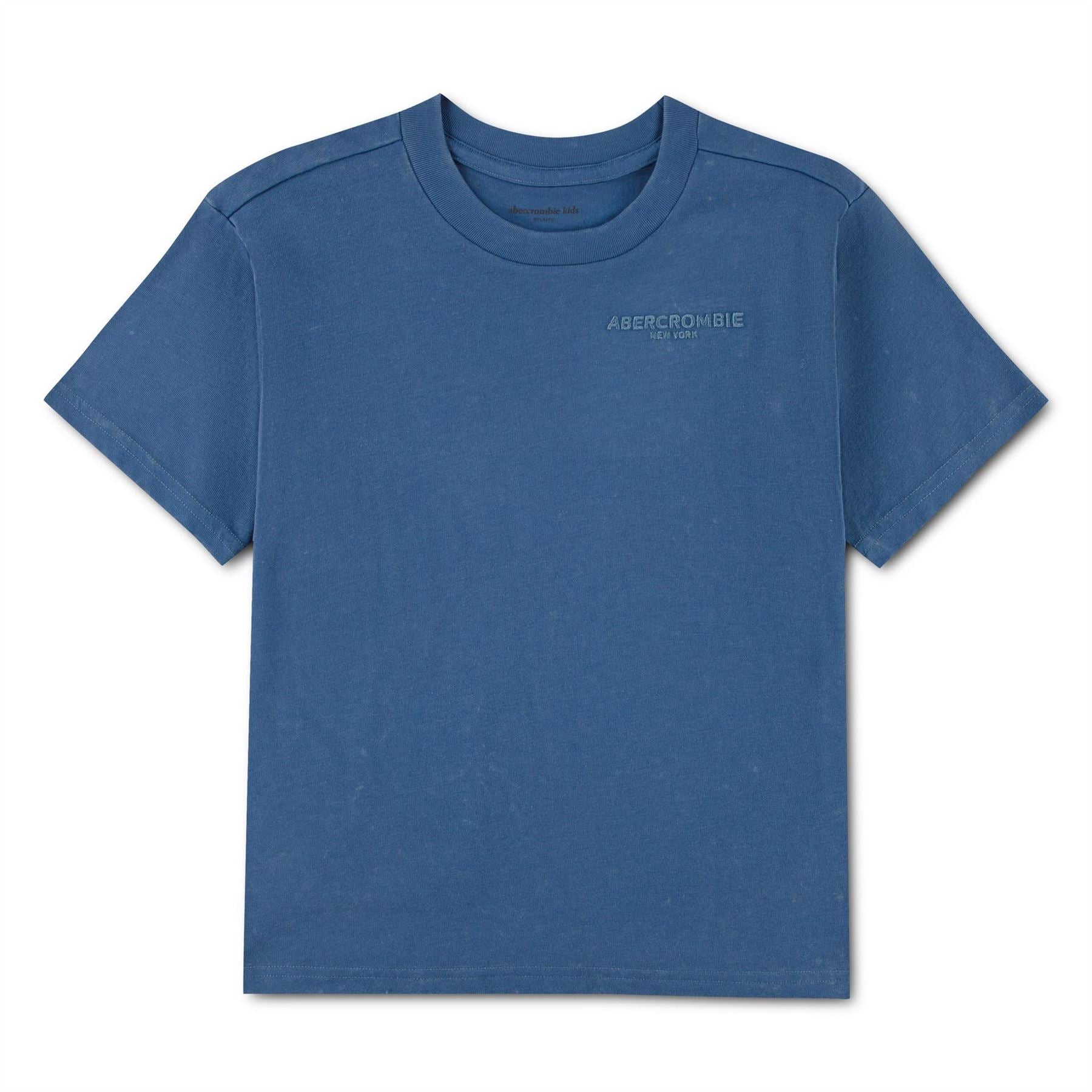 Abercrombie and Fitch T-Shirt