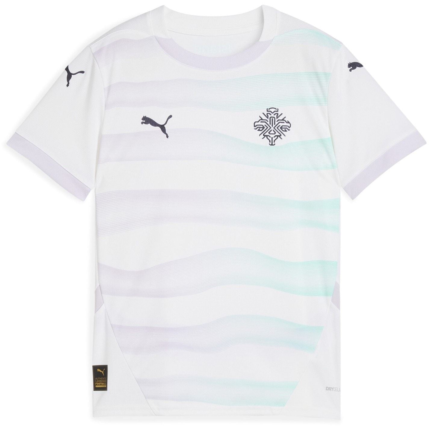 Puma Iceland Away Shirt 2025 Juniors