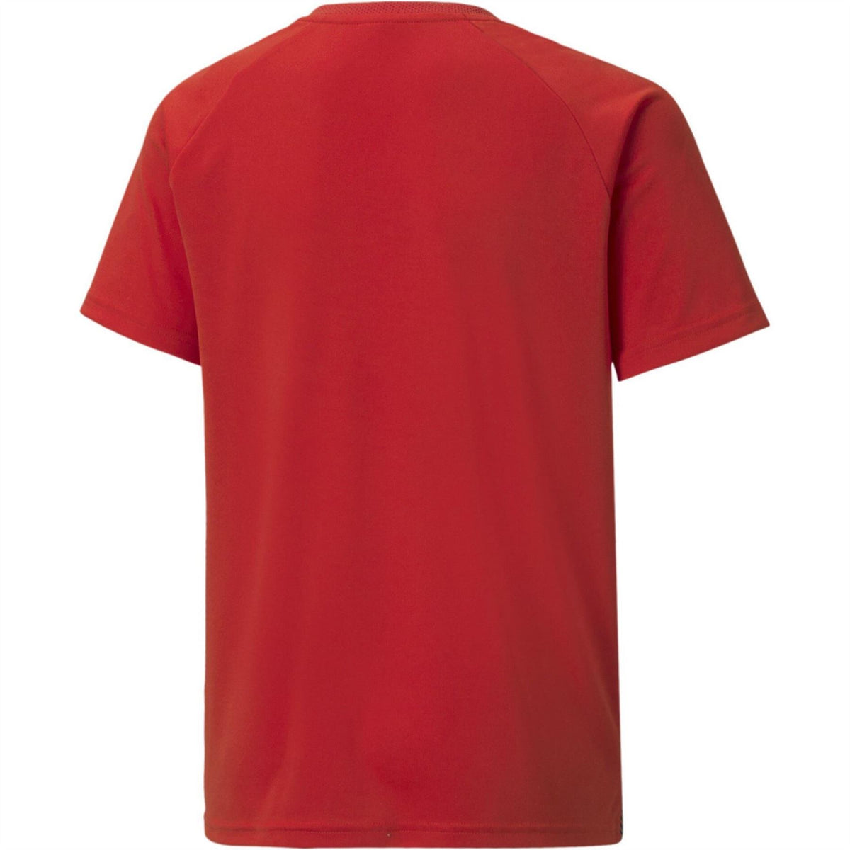 Puma Teamliga Striped Jersey Jr T-Shirt Unisex Kids