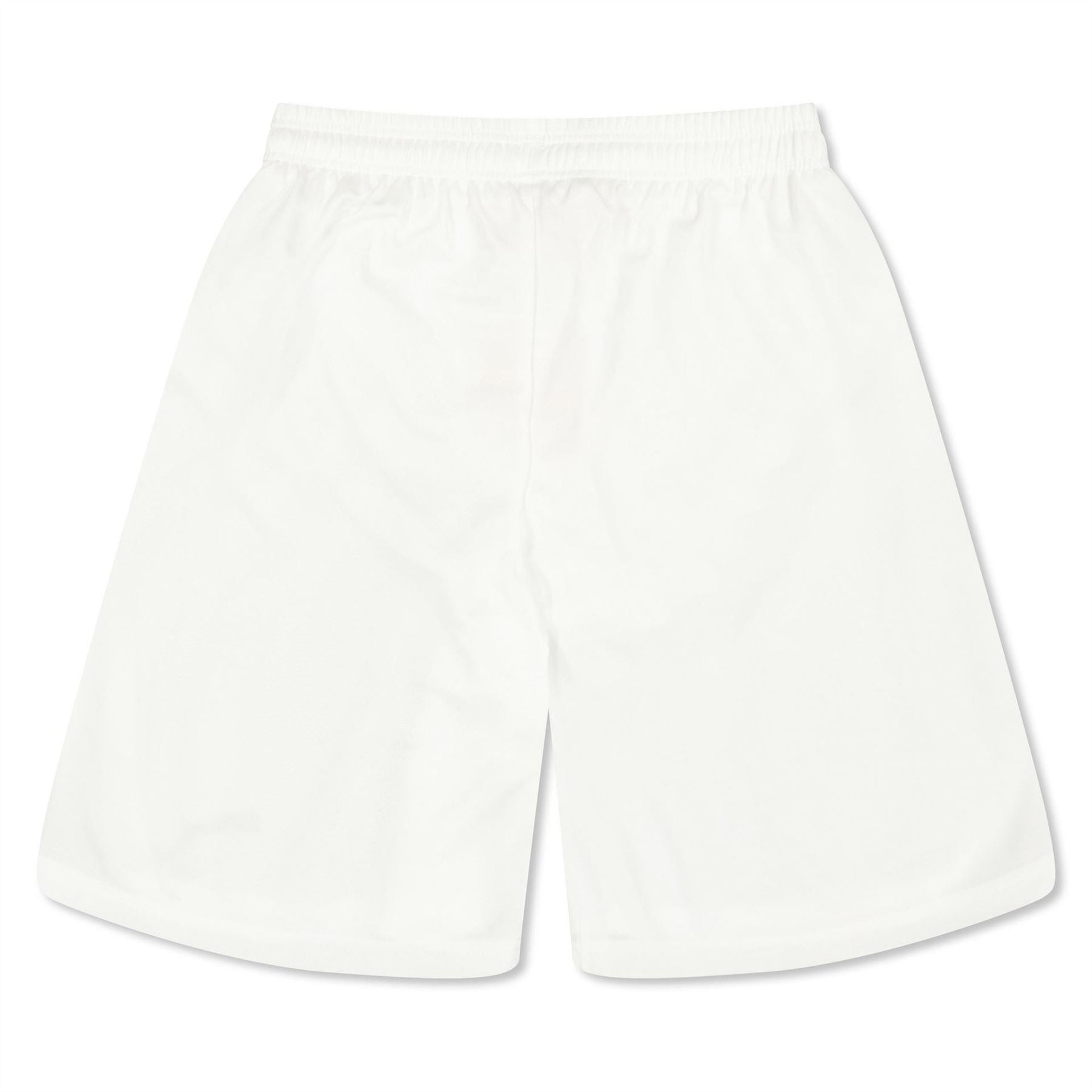 Puma Fb Team Shorts With Brief Juniors