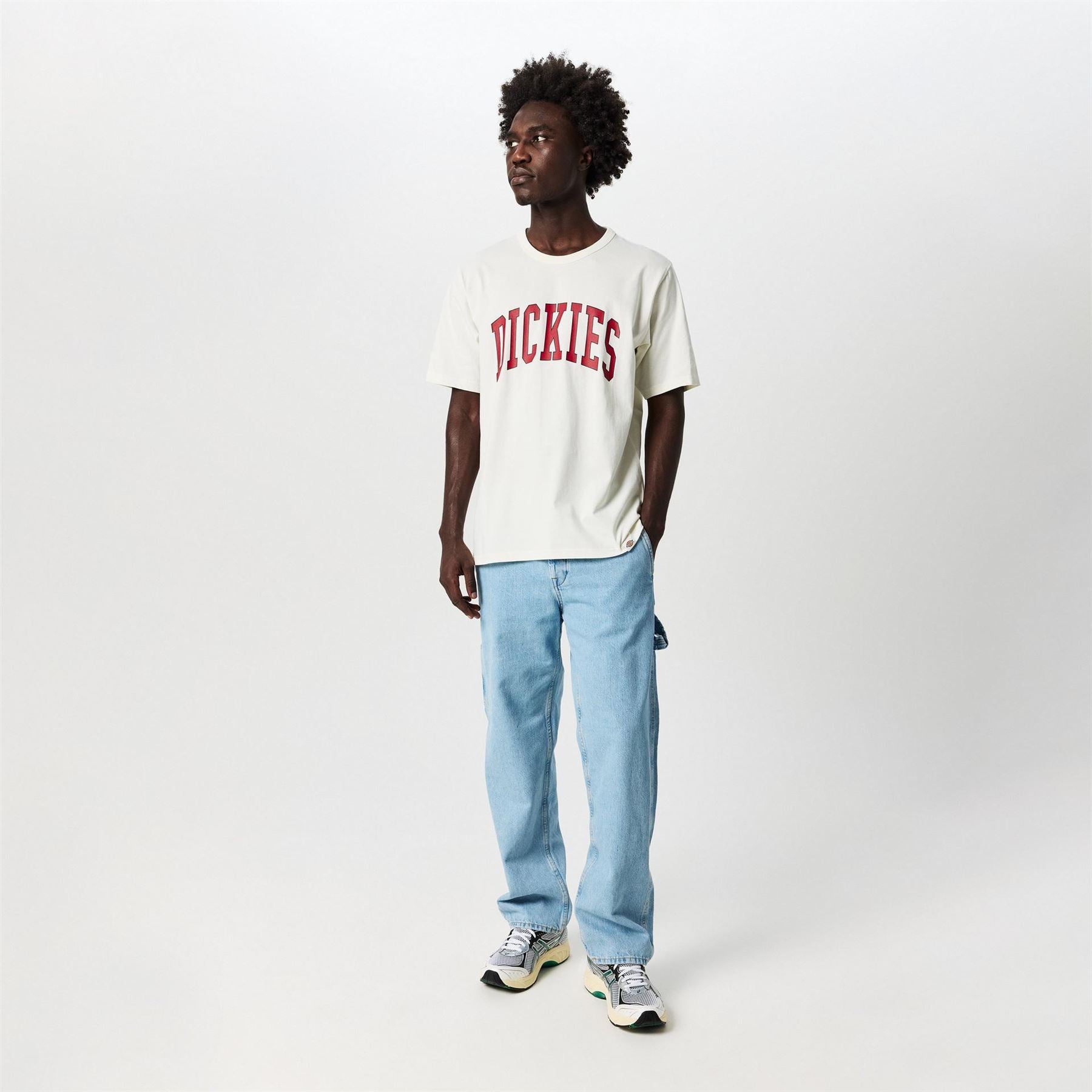 Dickies Aitkin Tee
