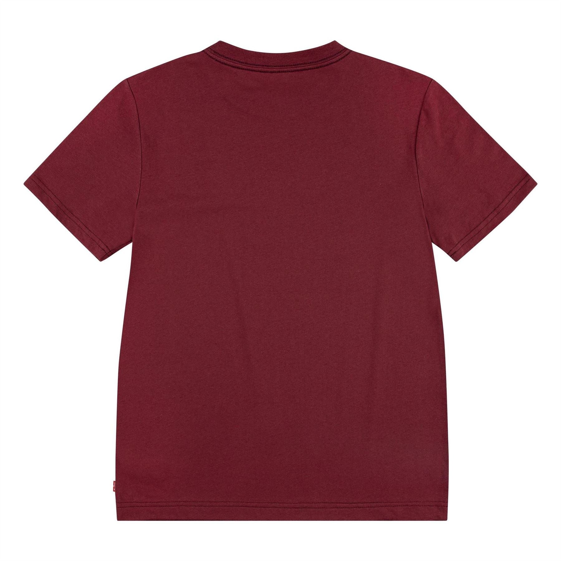Levis Batwing Crew Neck Regular Fit T-Shirt