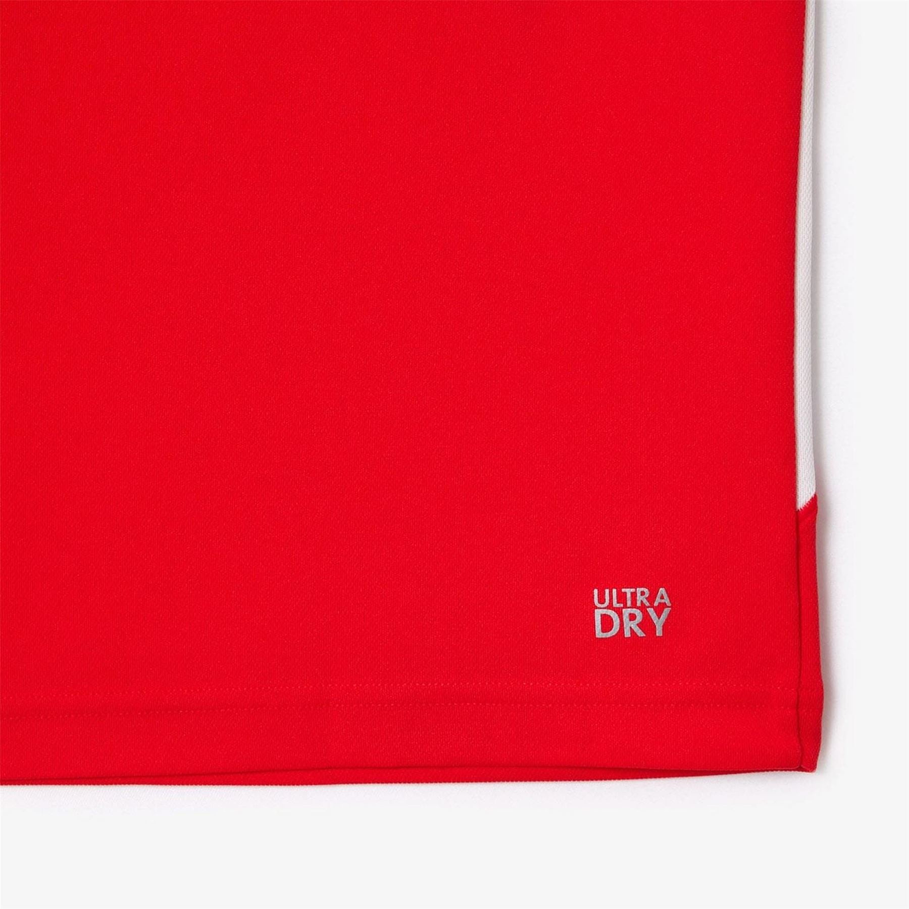 Lacoste X Novak Djokovic Regular Fit Polo Shirt